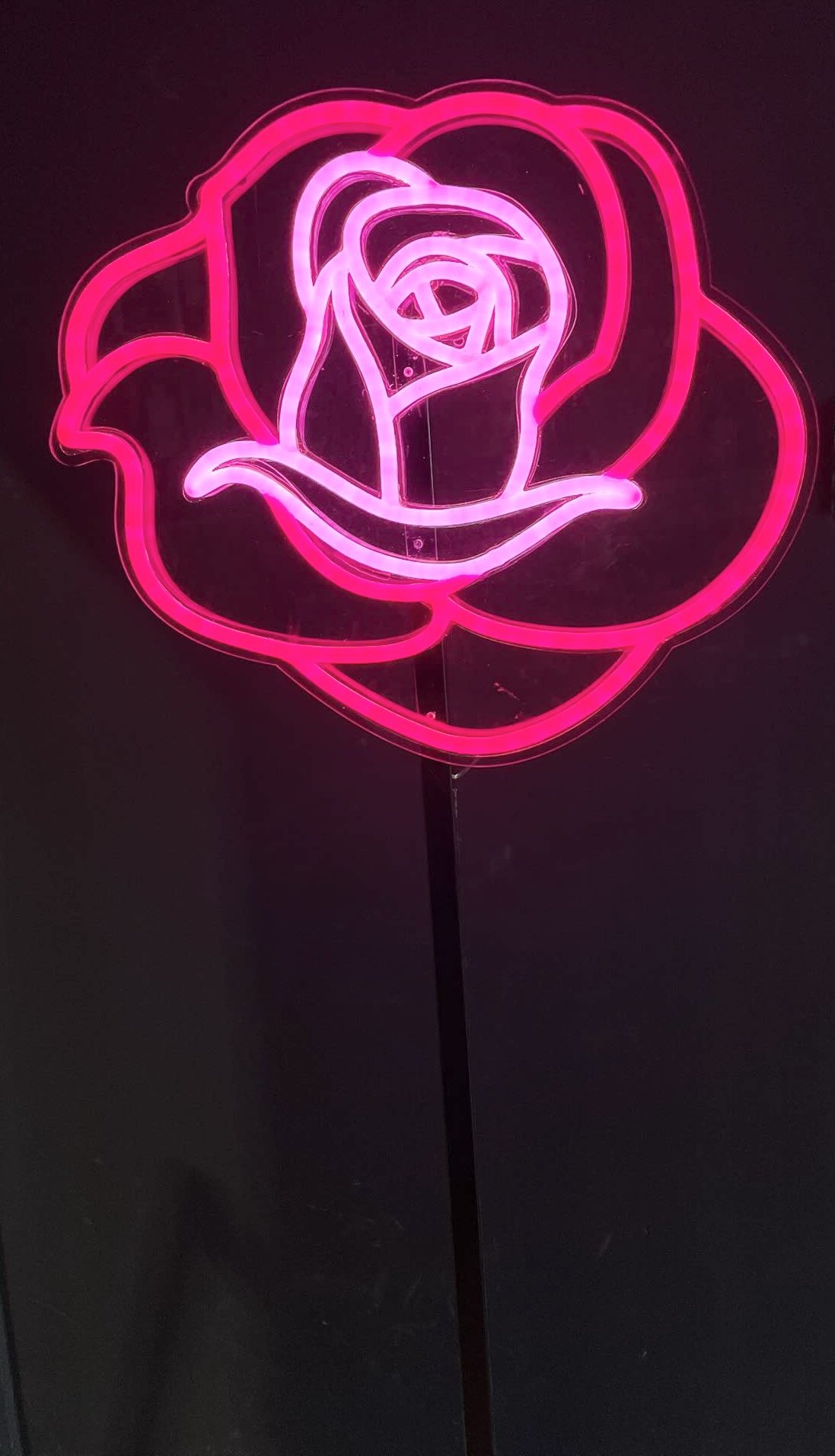 Neon Rose lit.jpg