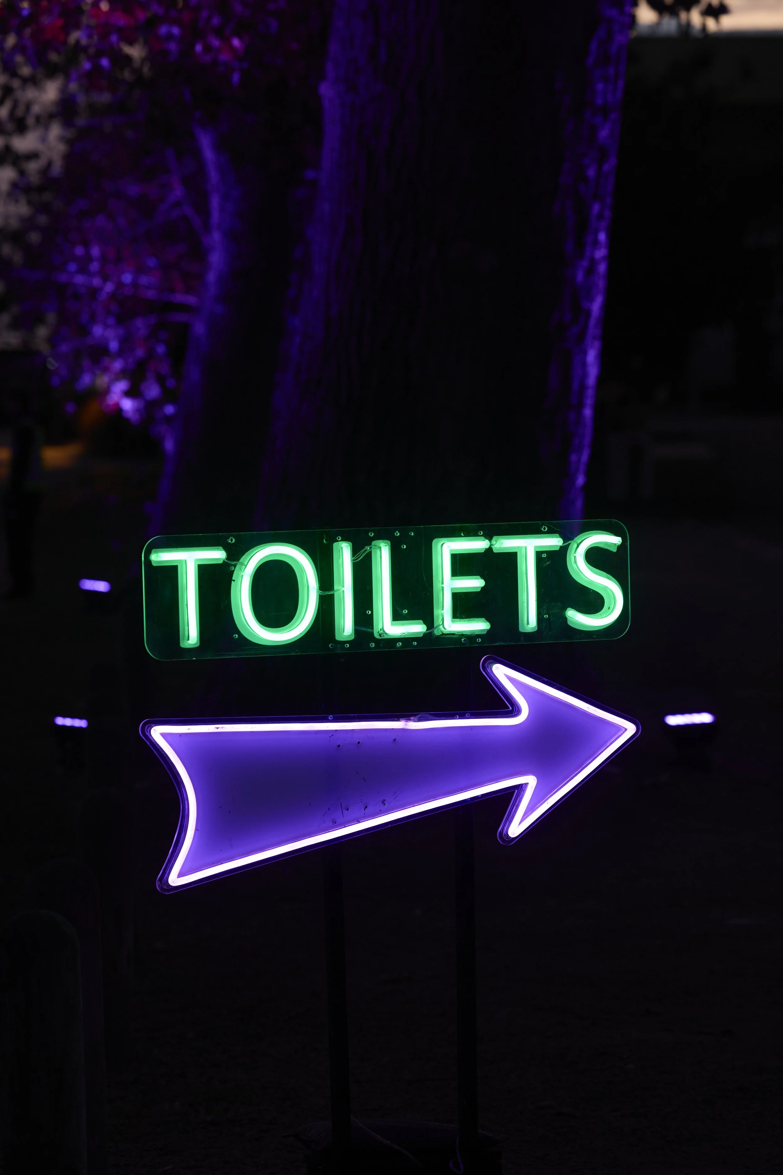 Frankston Southside Festival 2025-073.jpg