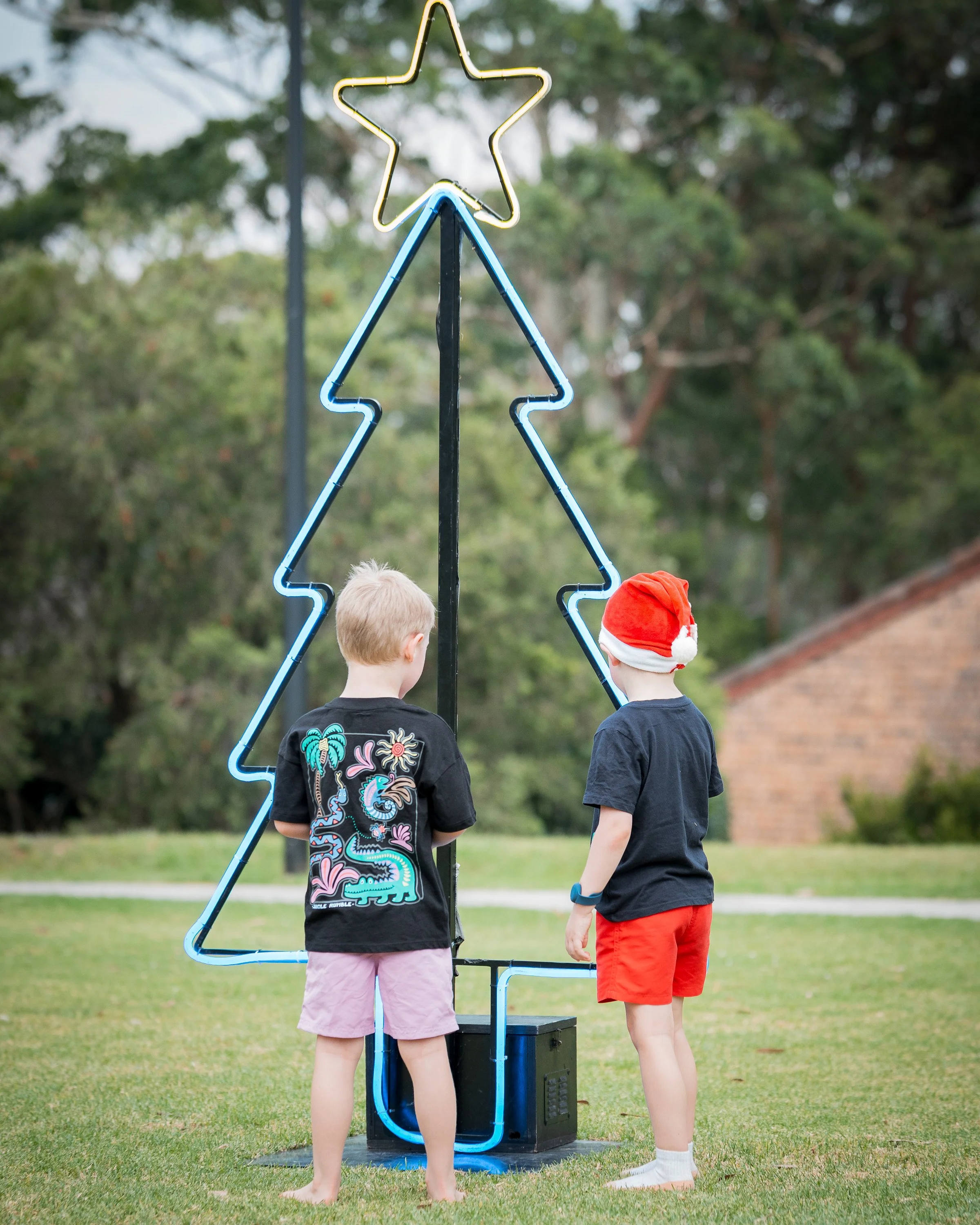 City of Ryde_Cinema in the Park_2.jpg