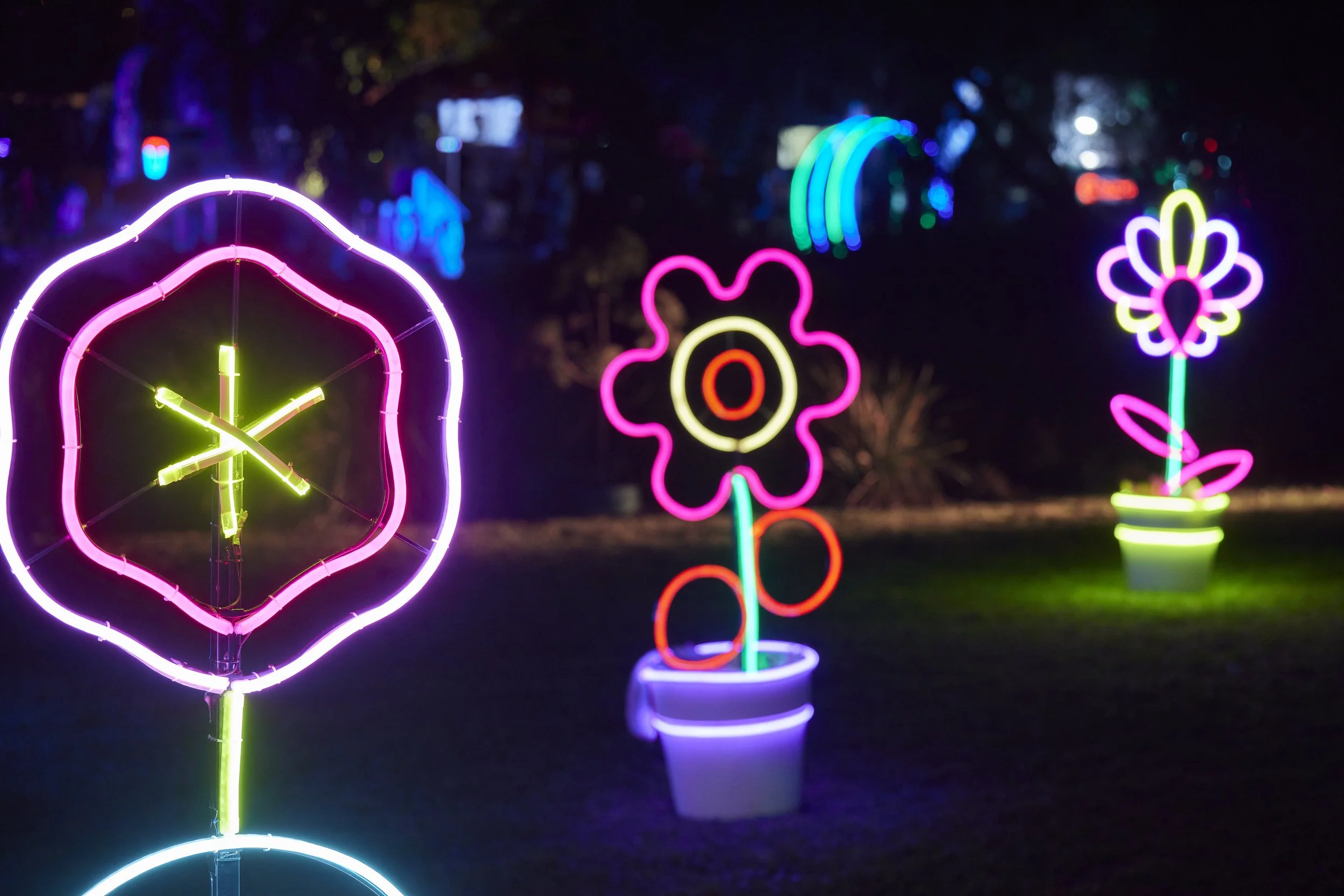Neon Flowers in Neon Pots - set of three Neon Flowers in different shapes and colours.