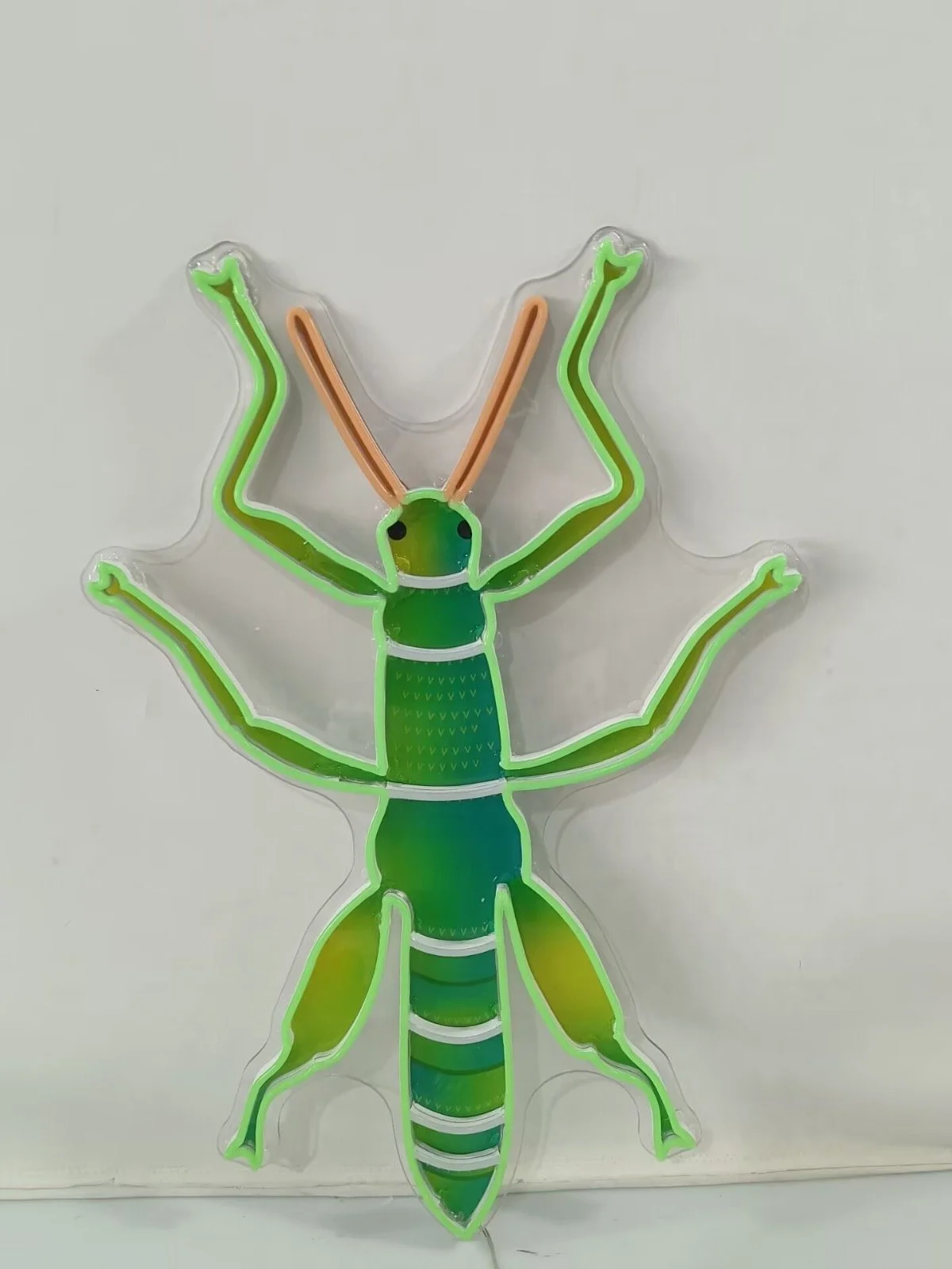 Animals - Stick Insect Not Lit.JPG