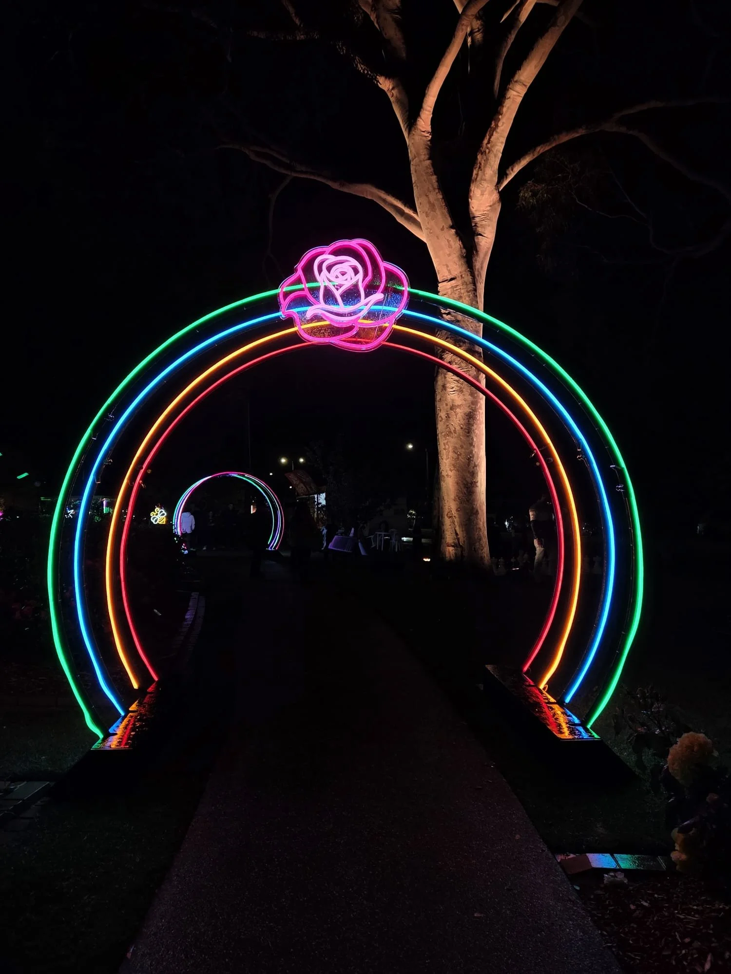 04b93e25-1c76-4793-872b-9faa98203d0d (1).JPG