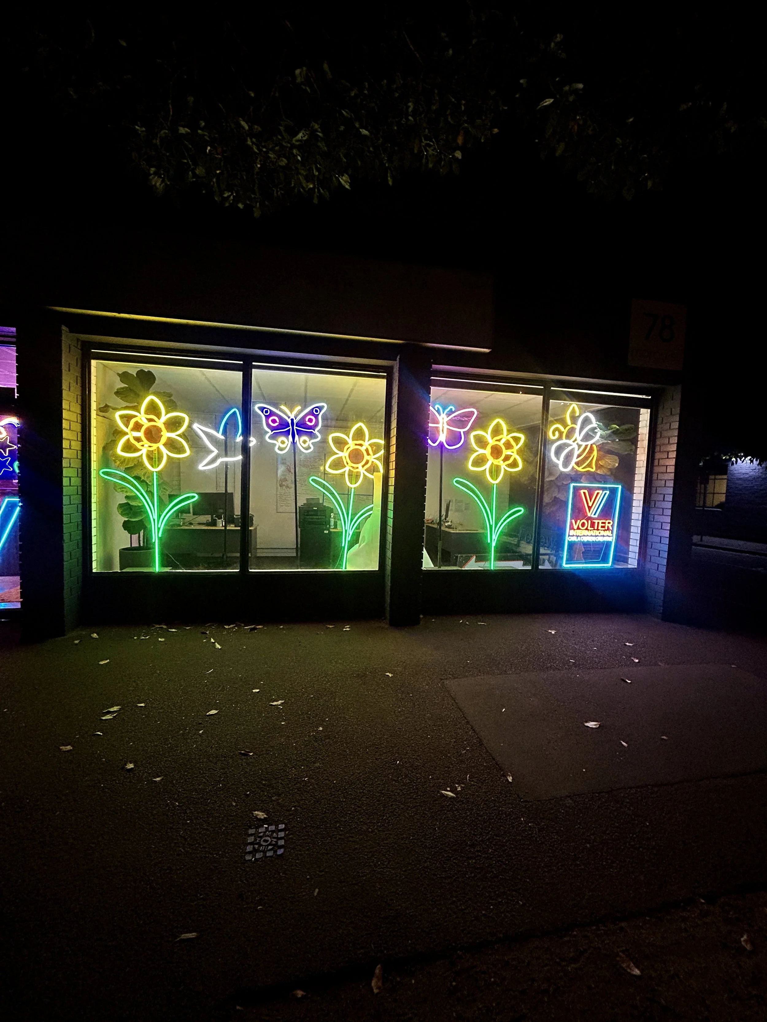 Volter Int_l front window - Daffodils.jpg