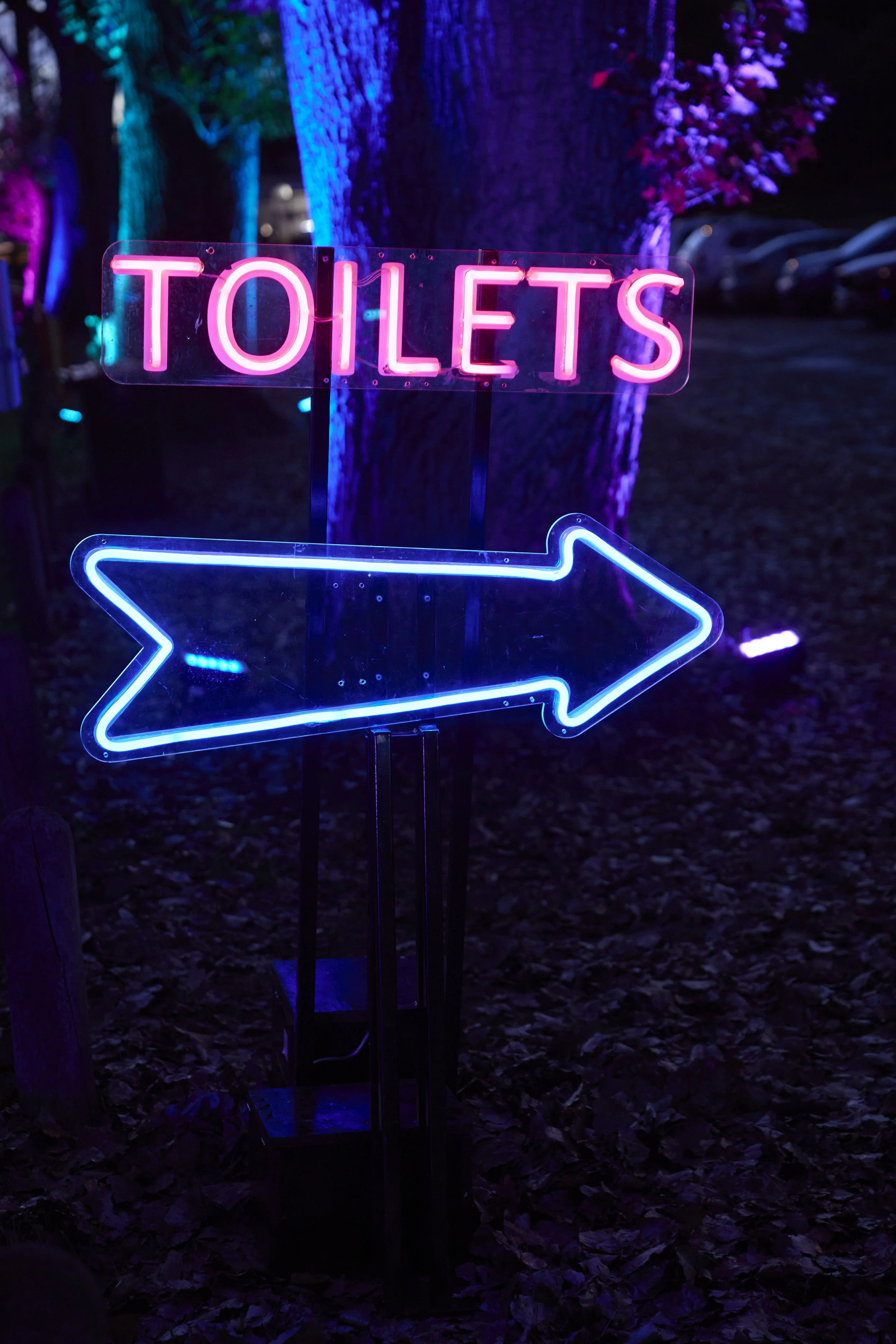 Toilets & RGB Arrow - Perspex(3).jpg
