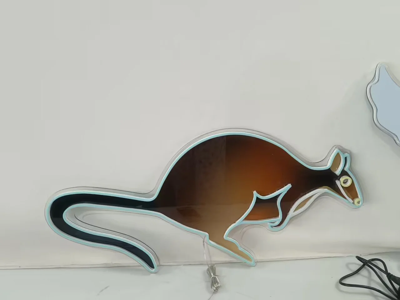 Animals - Wallaby Not Lit.JPG