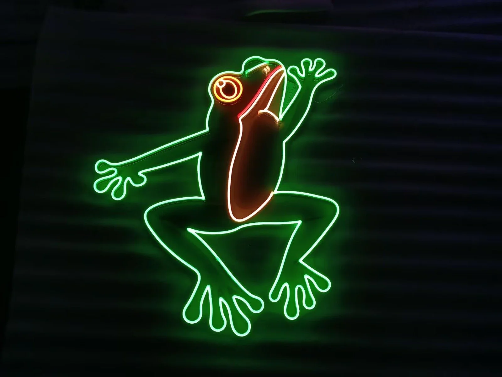 JUMPING TREEFROG