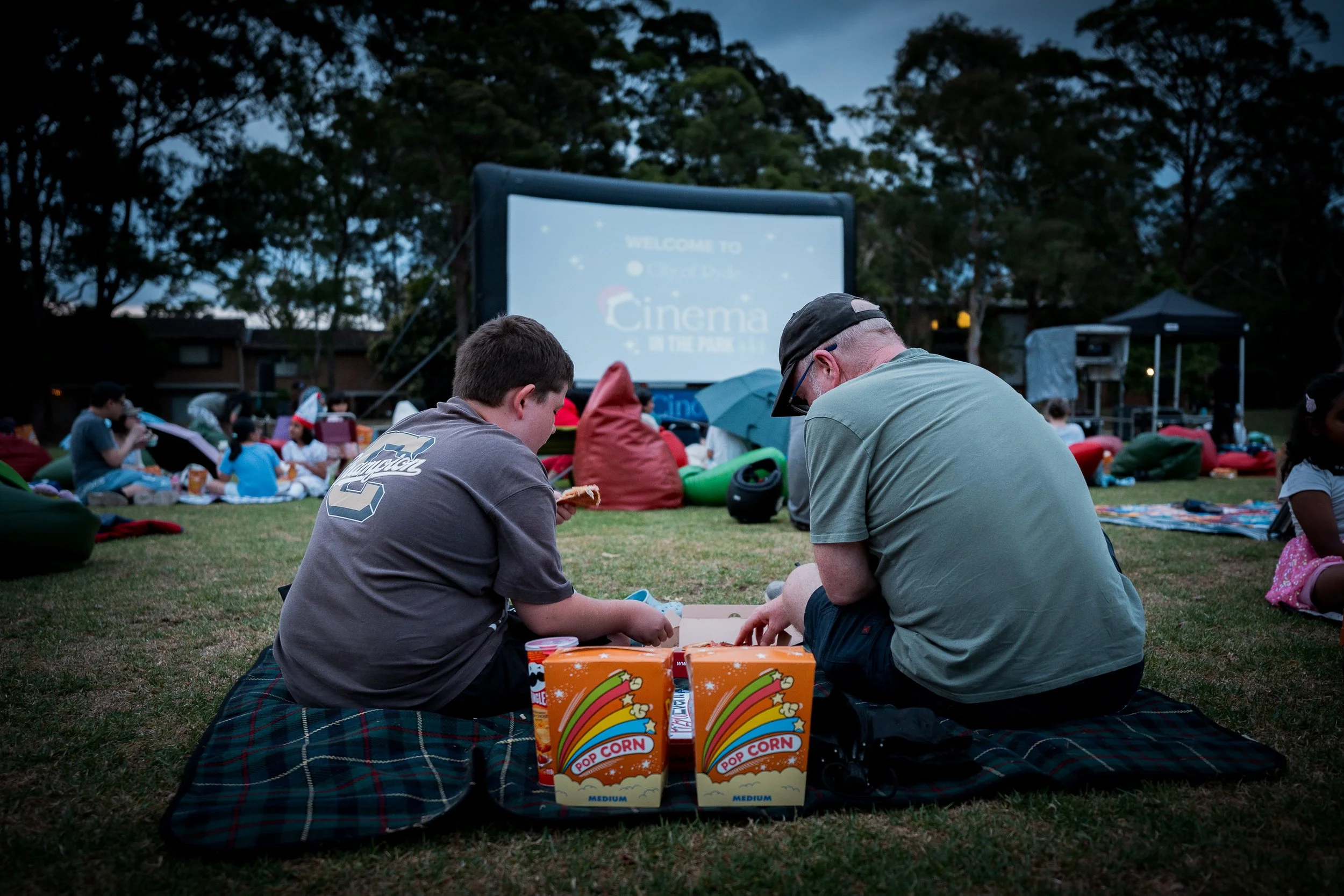 Cinema in the Park