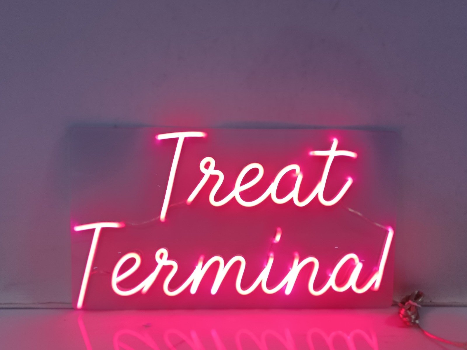 Treat Terminal.JPG