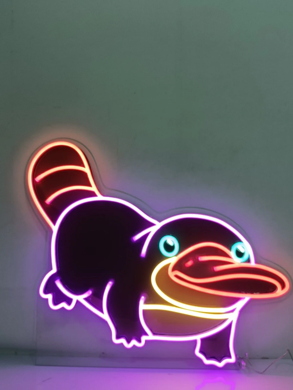 Platypus-2.JPG