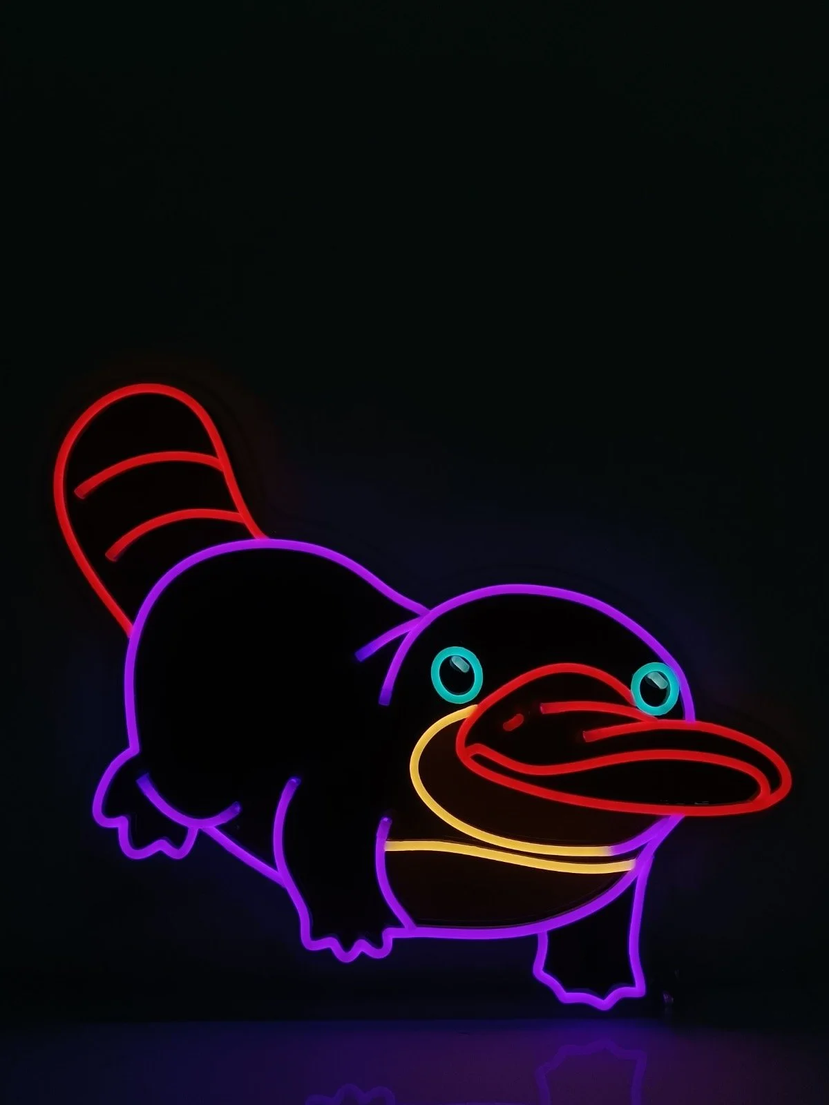 Platypus-1.JPG