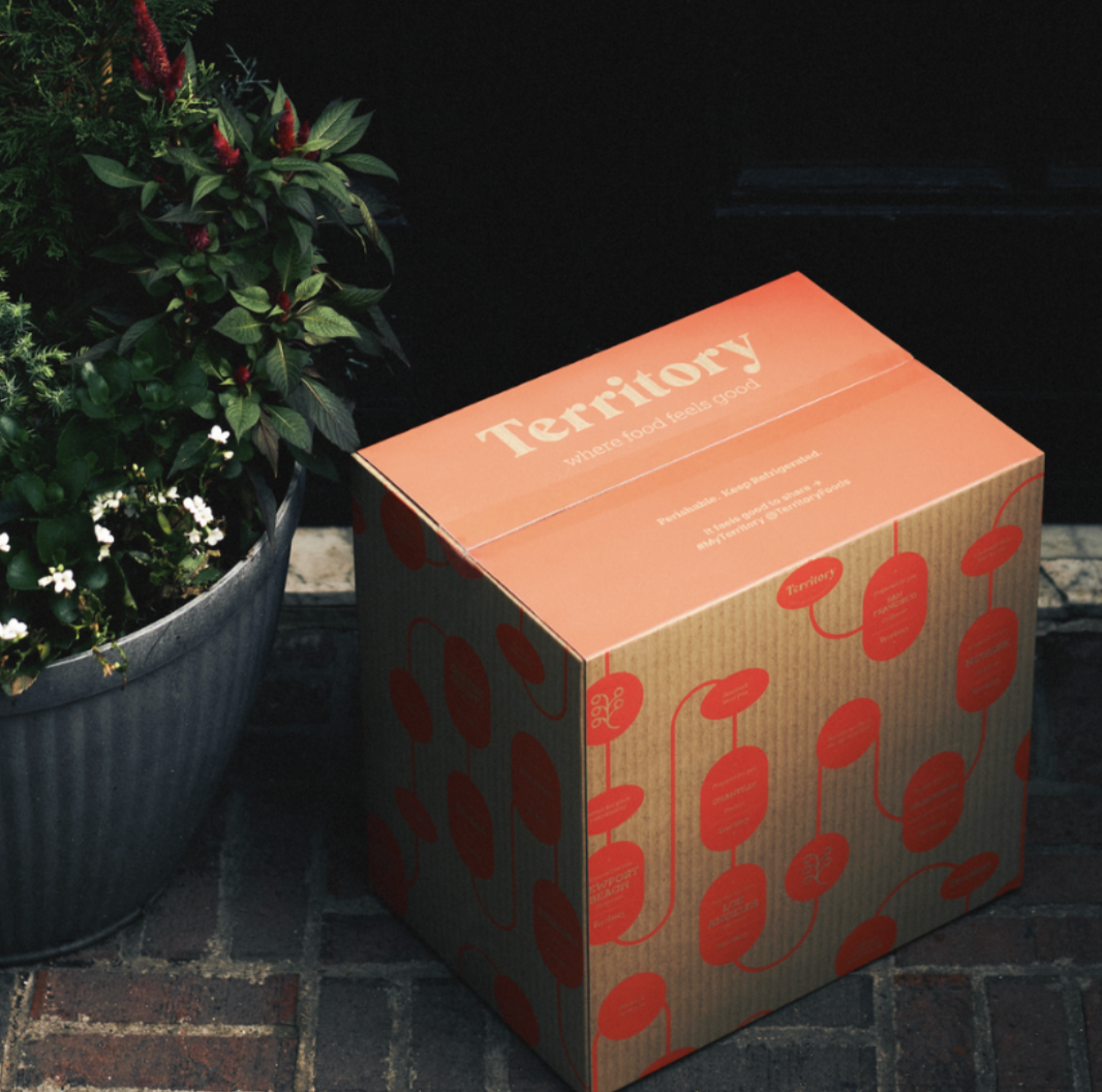 Territy Foods Packing Photo Shoot.png