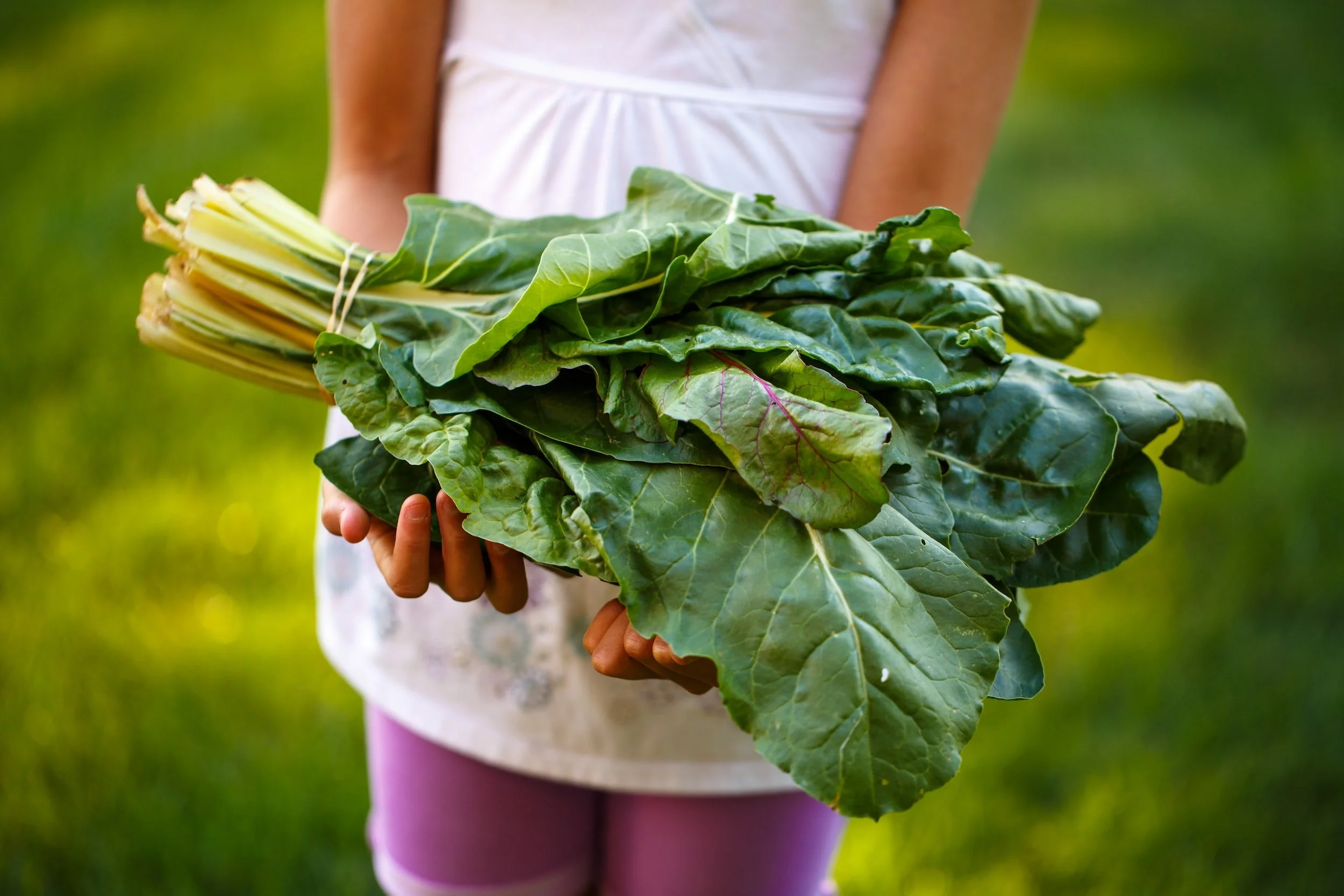 5 Ways To Increase Your Child’s Fiber Intake One Bite At A Time