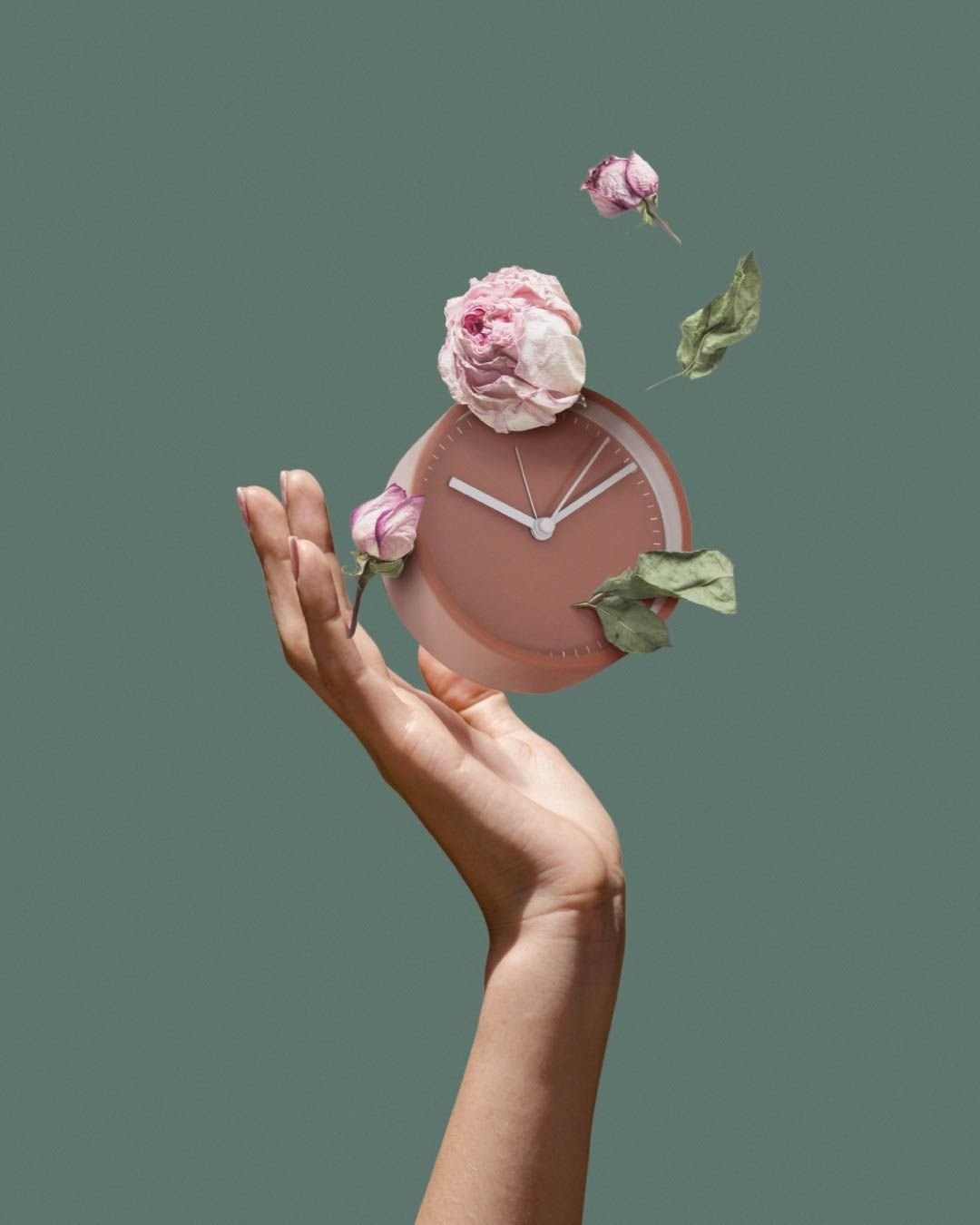 Menopause & Perimenopause FREE Support Group