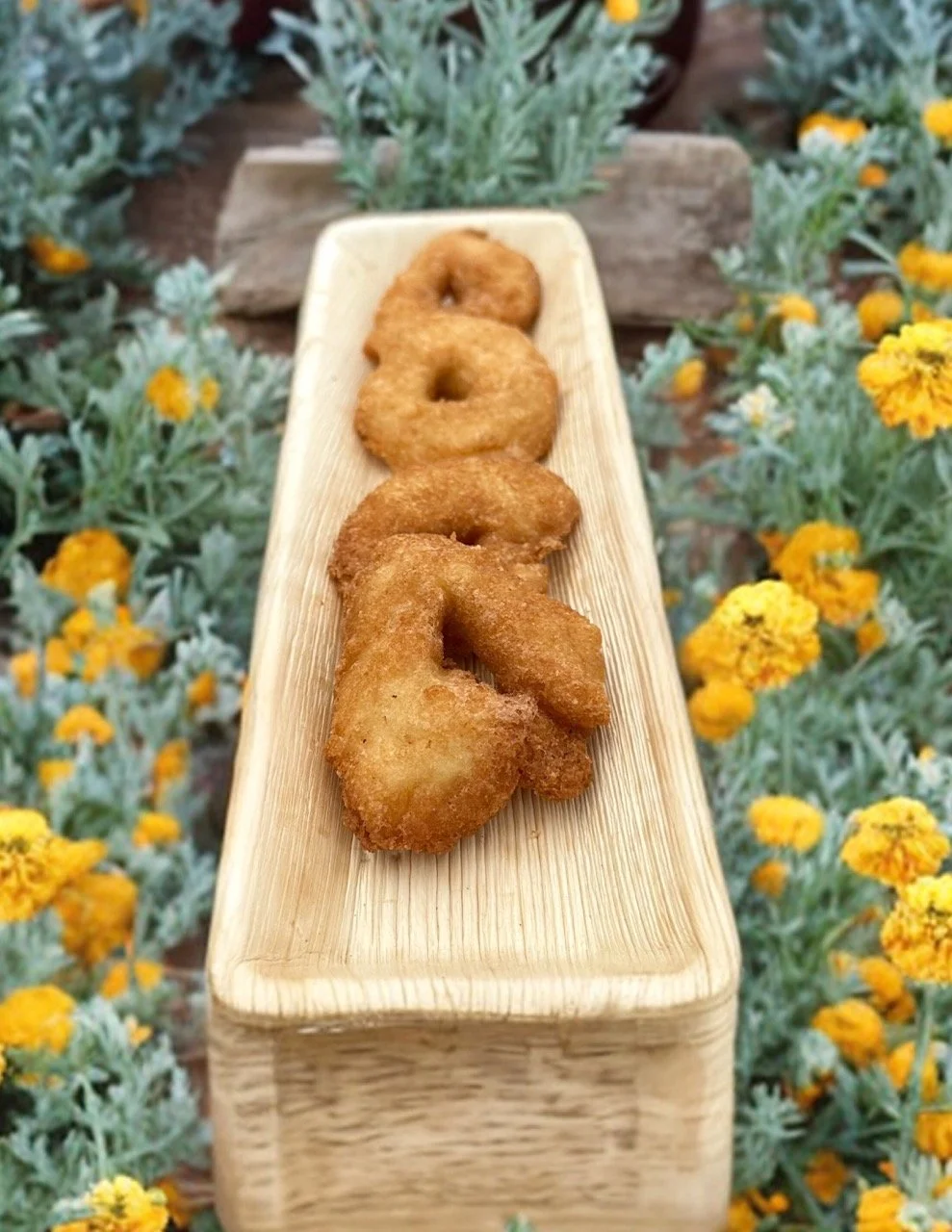 Untitled design (43) Large.jpeg