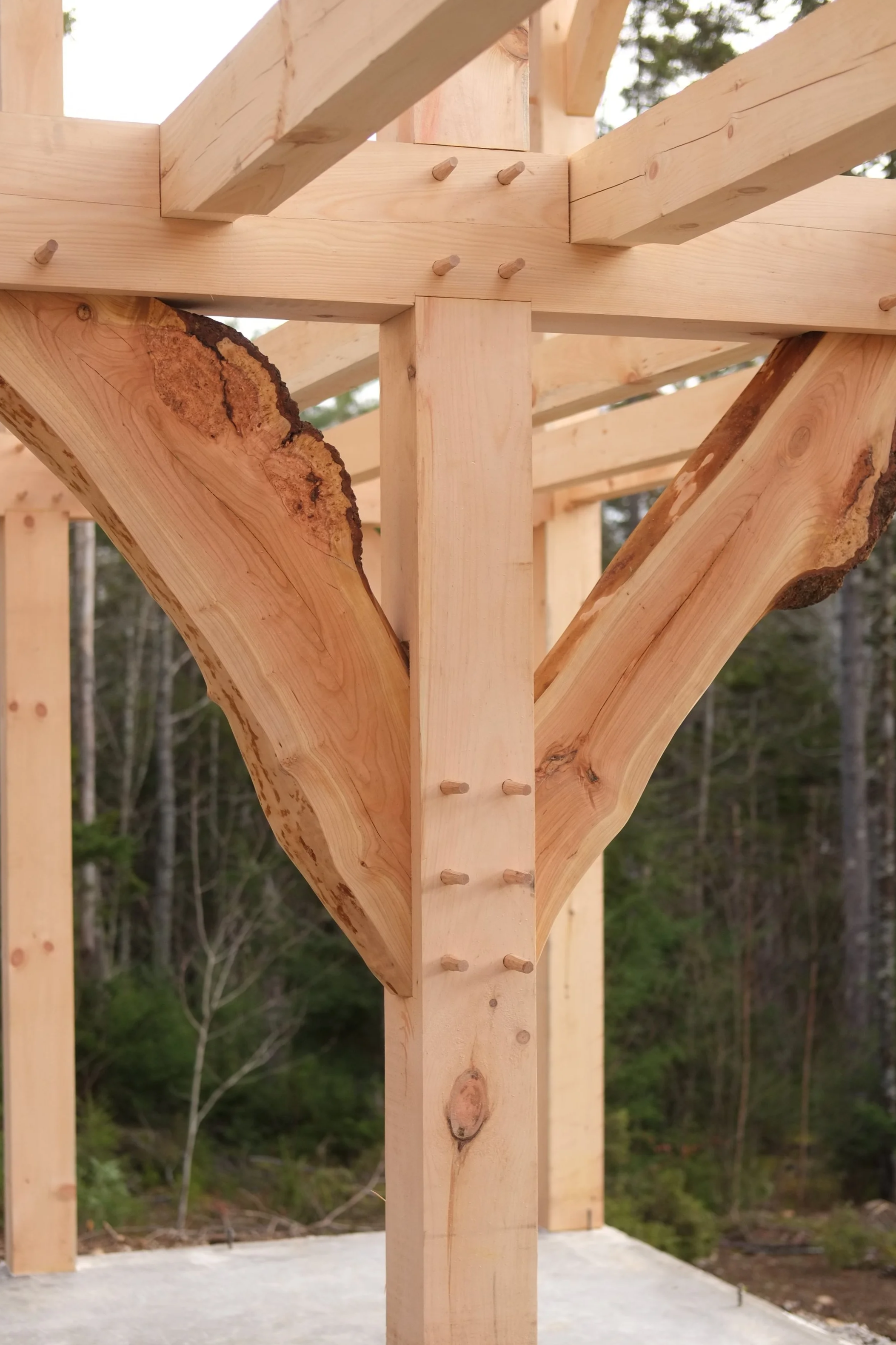 Saltbox Cabin