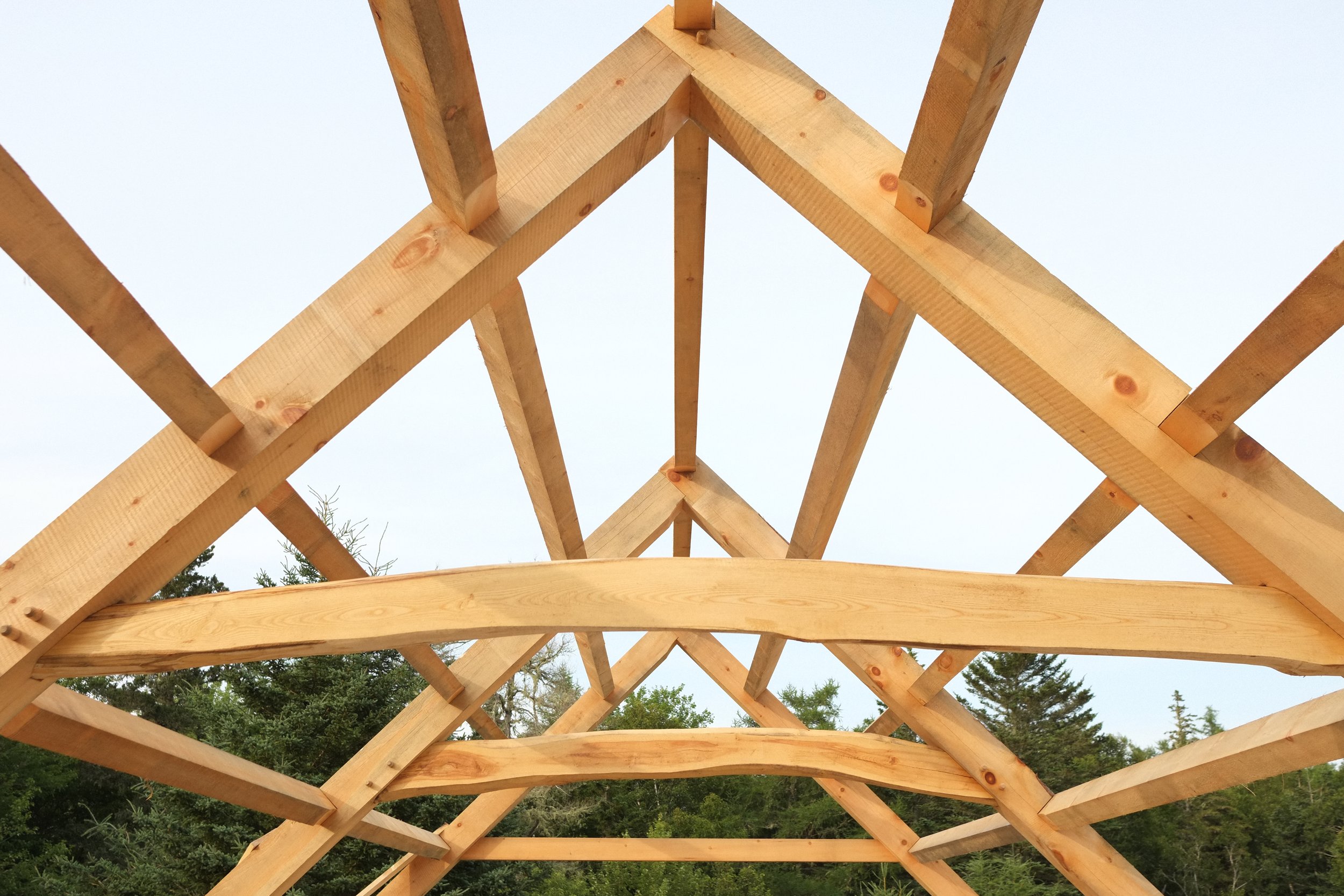 A bent perspective. Curved ash collar ties in bents 2 & 3.