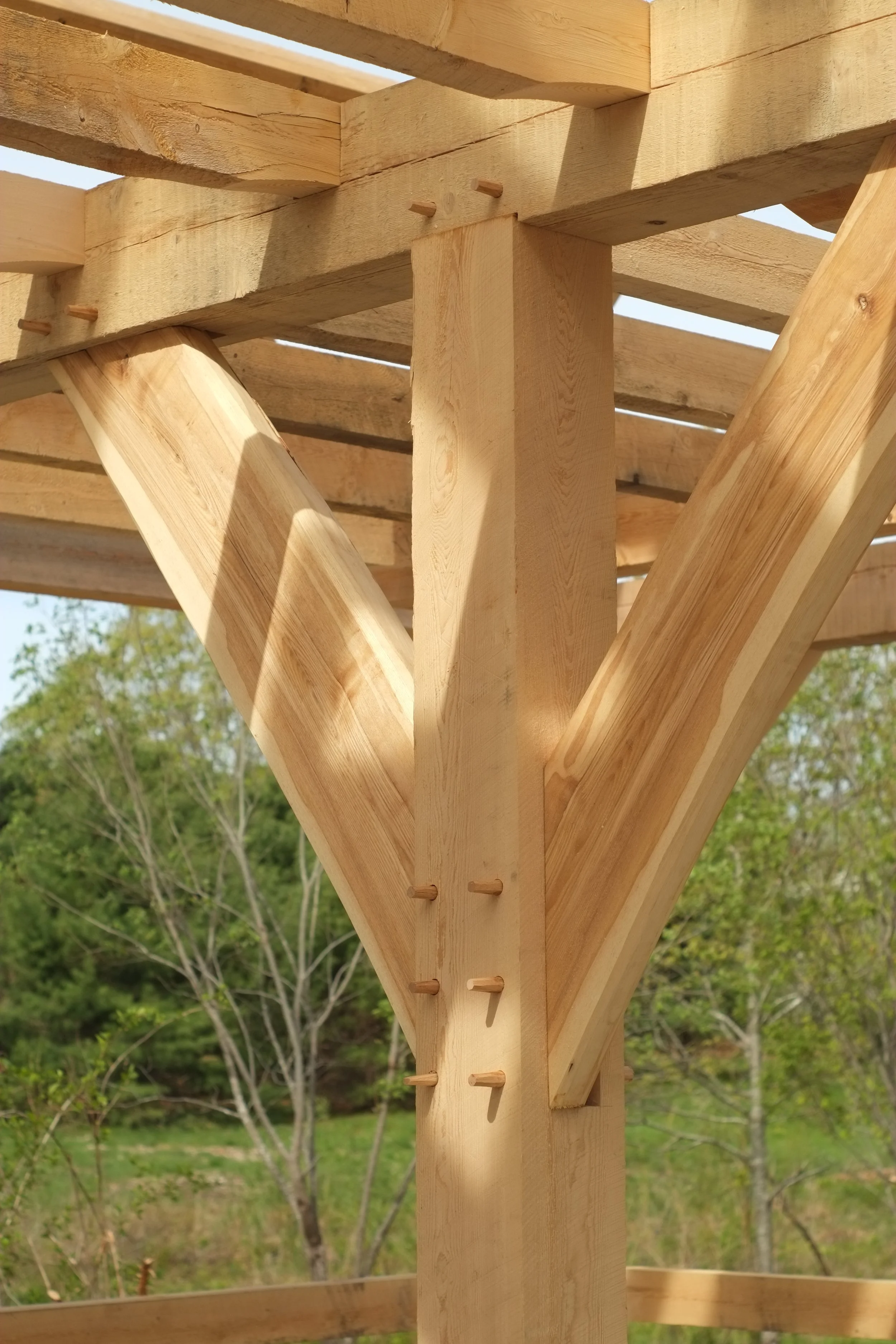 We used live sawn ash braces in the middle two bents.