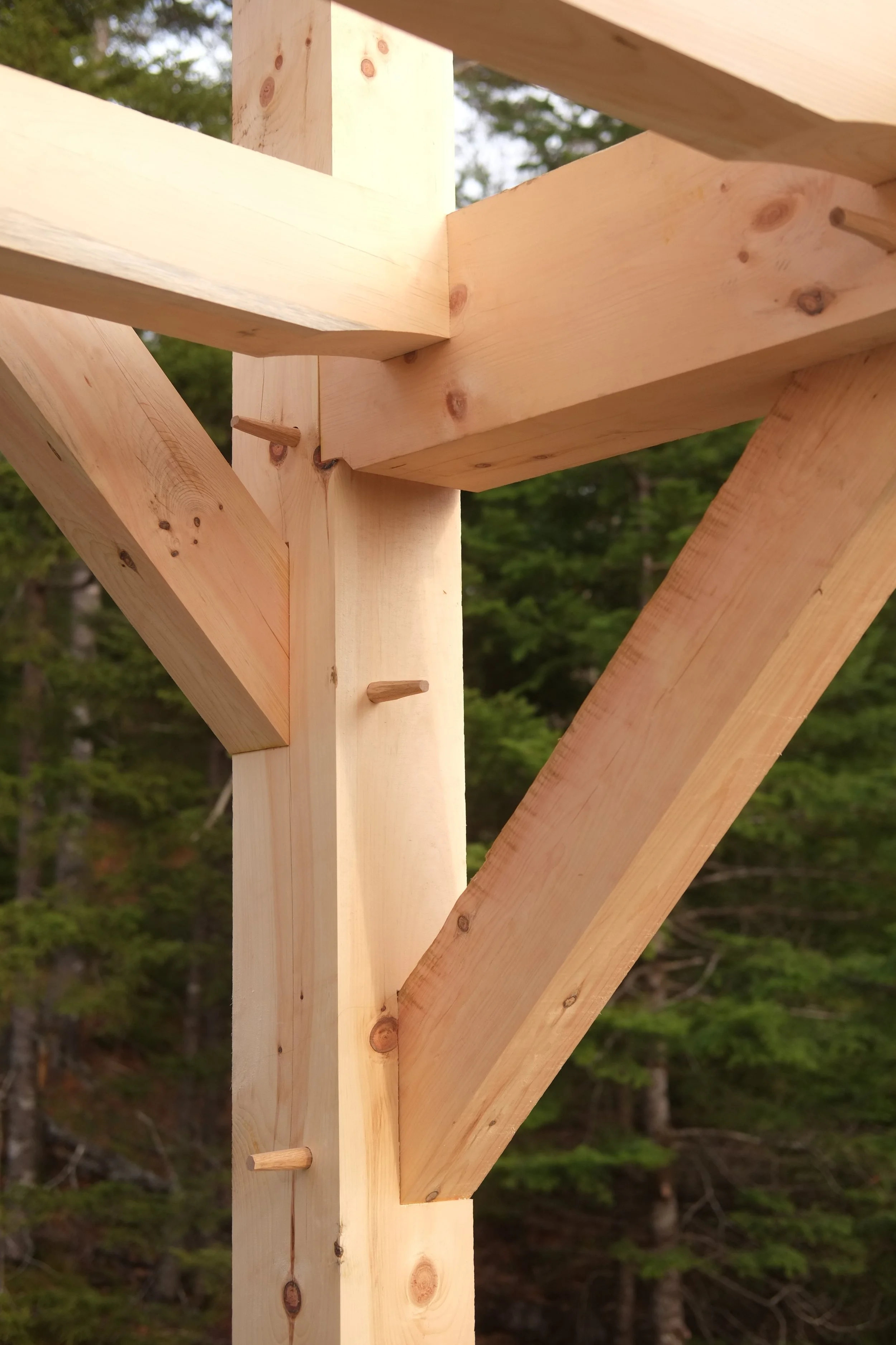 All of the pine timbers were sawn locally by J.A Turner & Sons