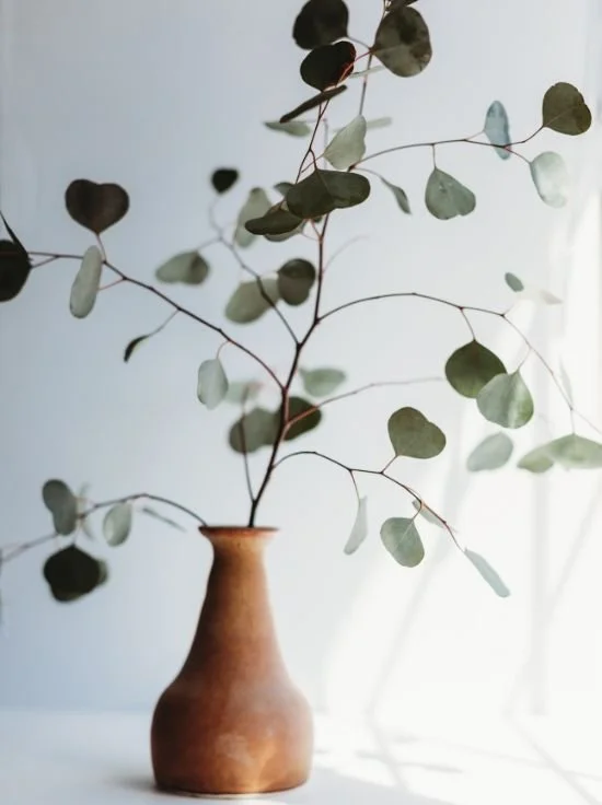 Is your business healthy? Here's how you can tell.