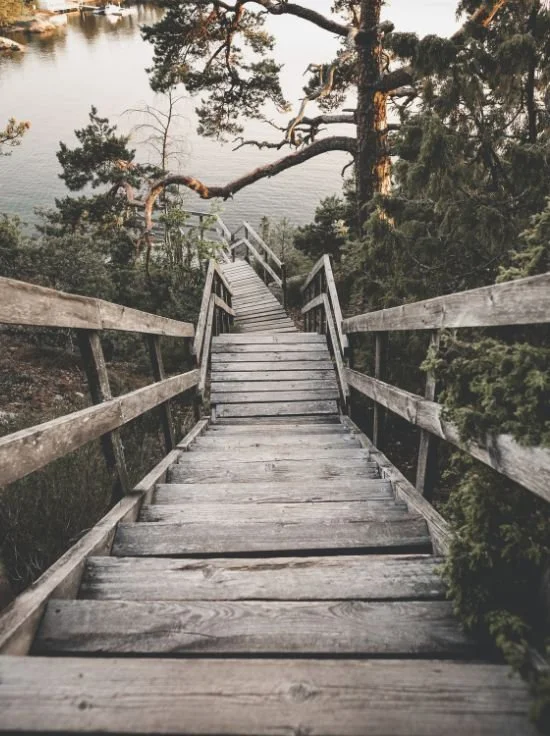 Business lessons from a natural disaster