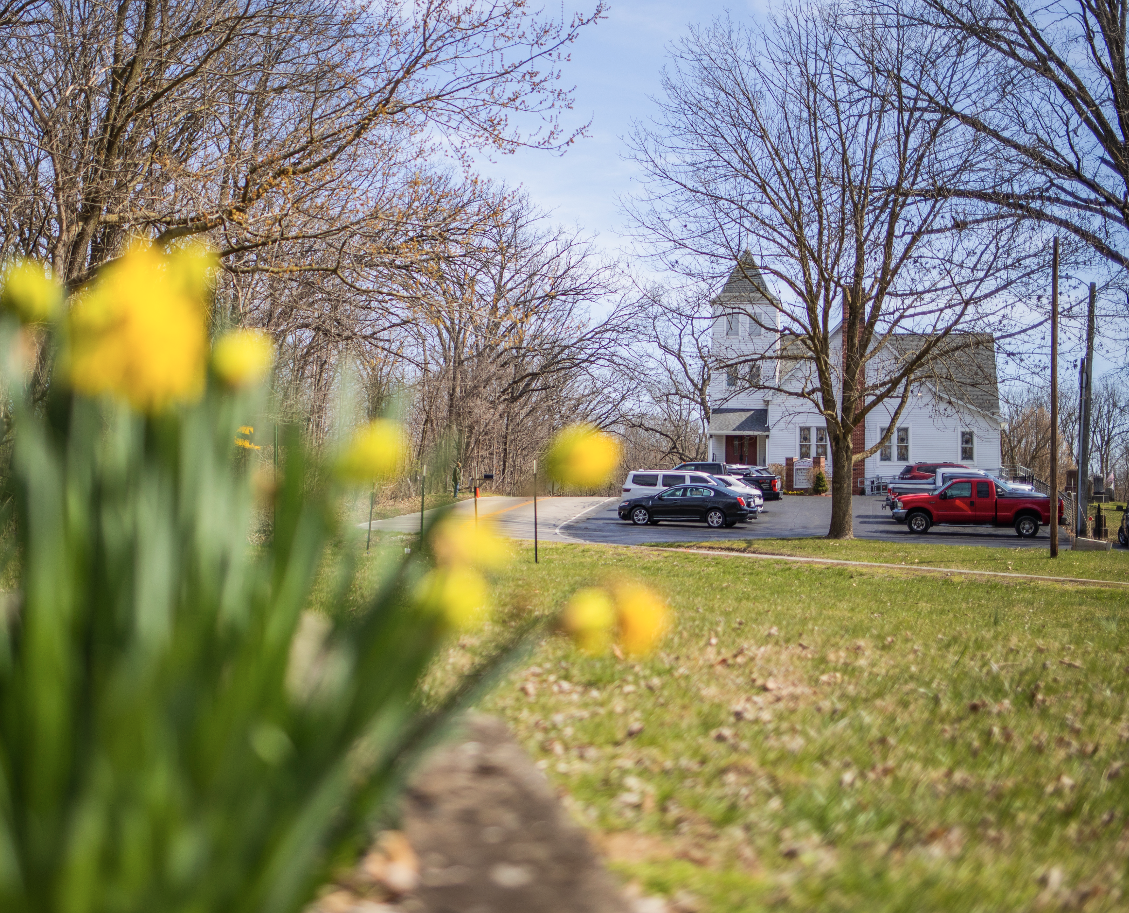 Trusting God in the Pause