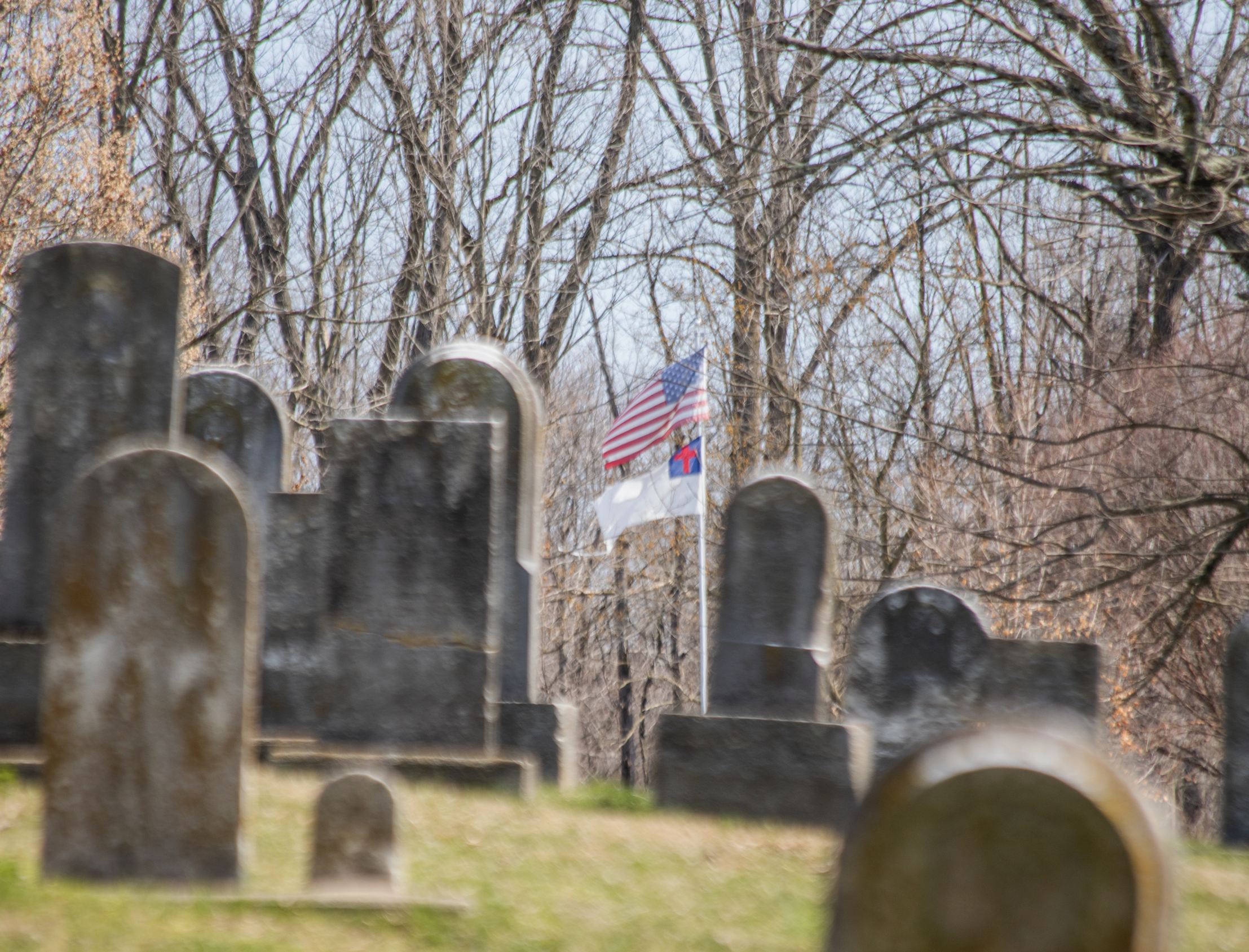 From Palms to the Cross