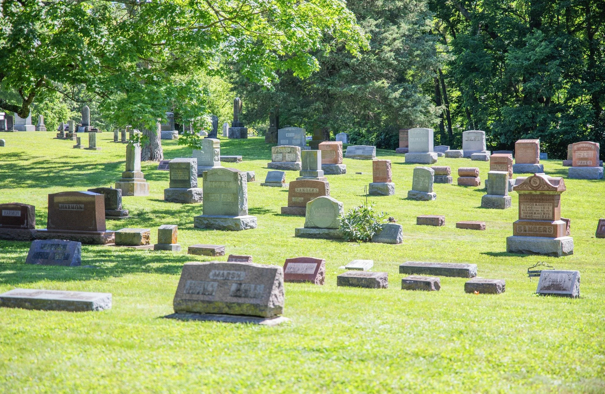 Finding Hope in the Midst of Grief