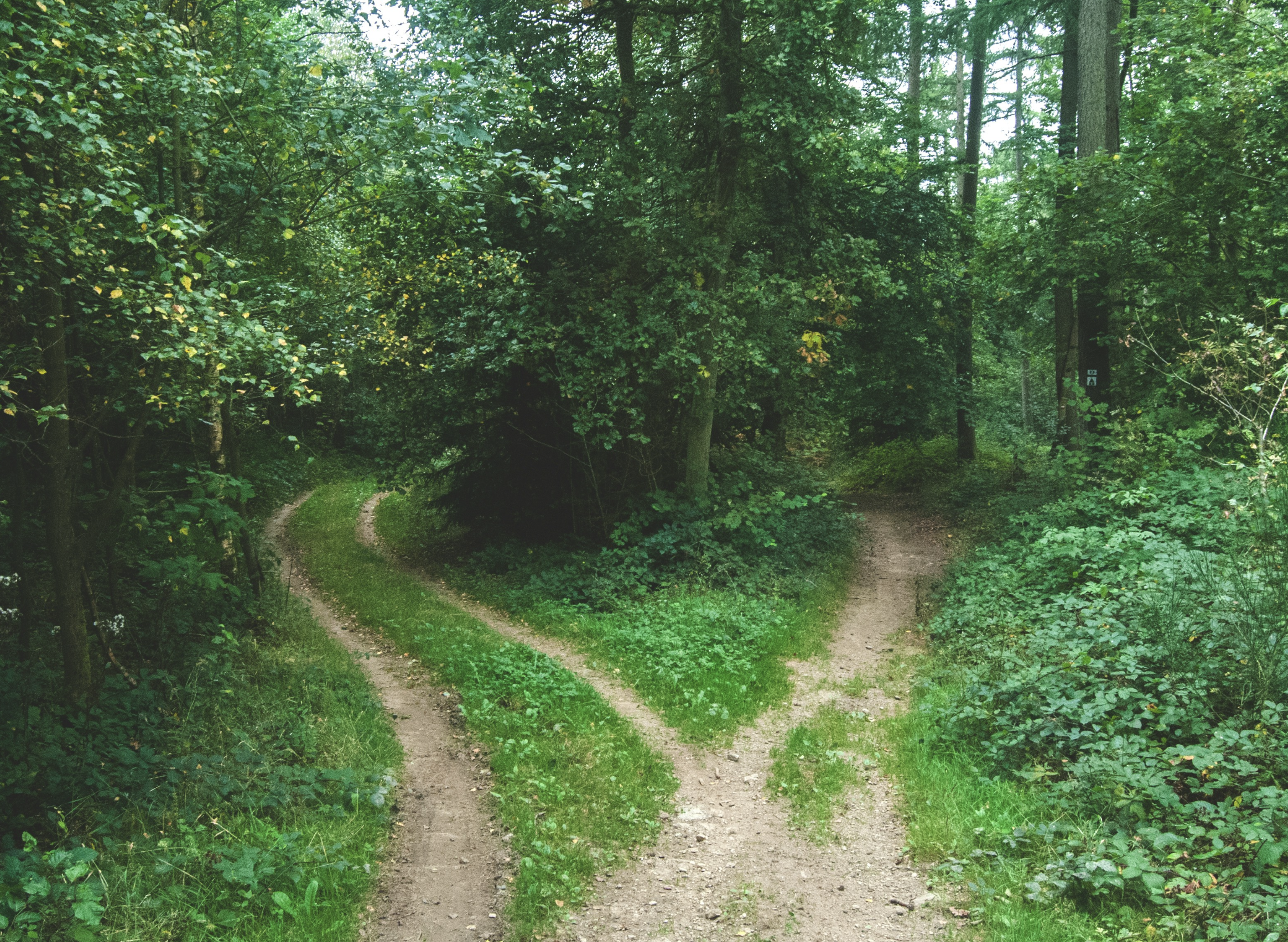 Which Path Are You Walking?