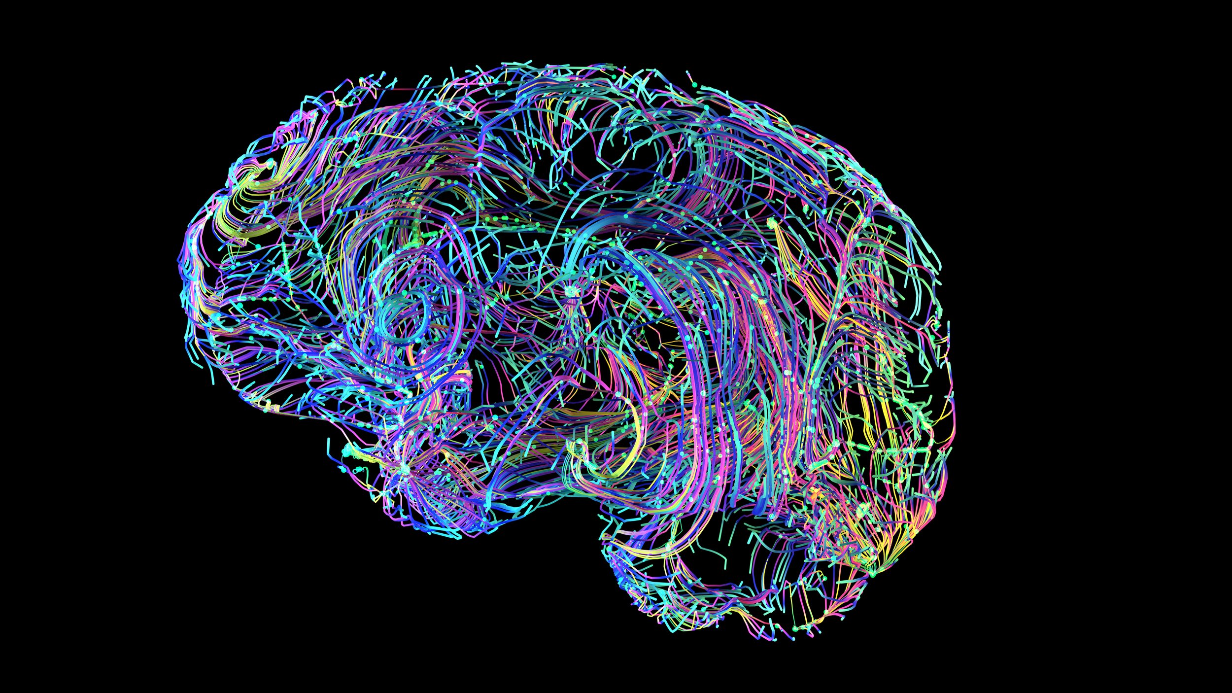 The Neuroscience of Reconnection and Why Employers Must Lead the Way