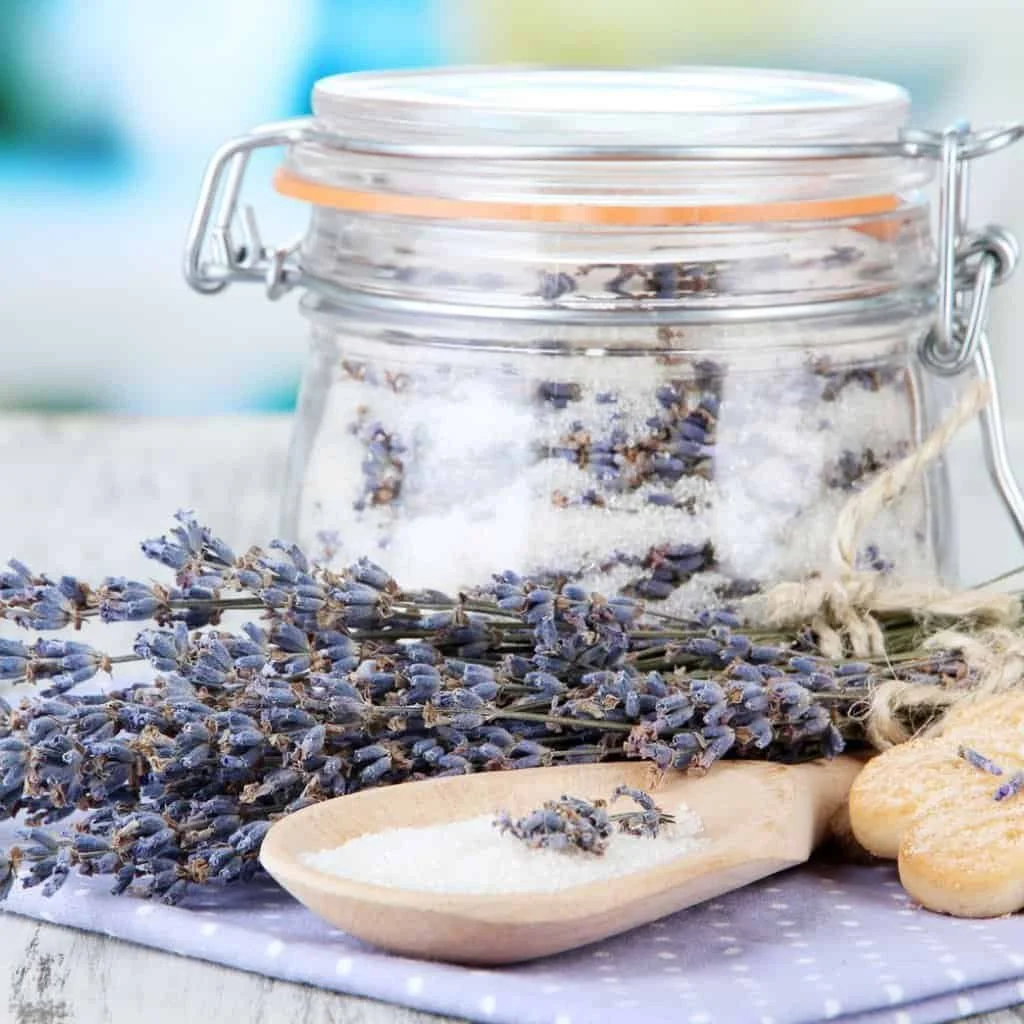 how-to-make-lavender-infused-sugar-with-fresh-lavender.jpg