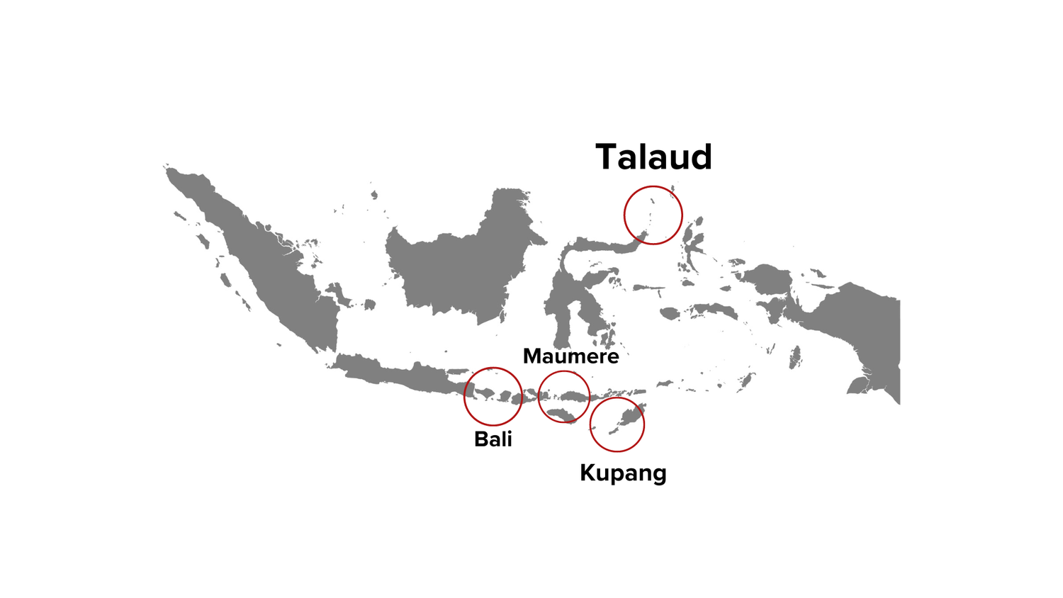 JALA FISH - Premium Seafood