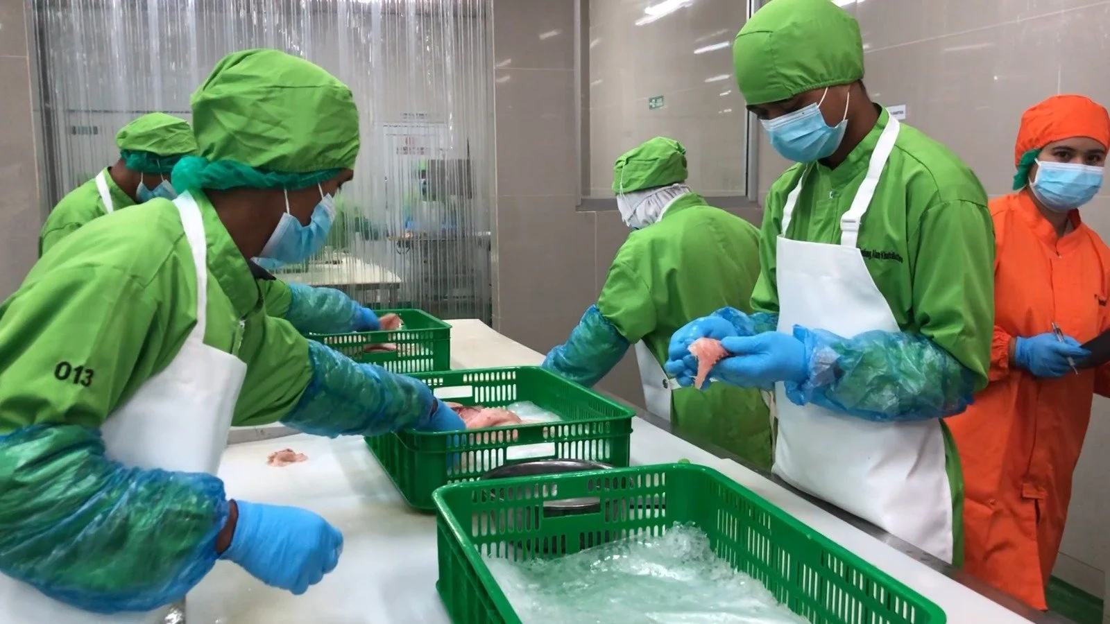 JALA FISH - Premium Seafood