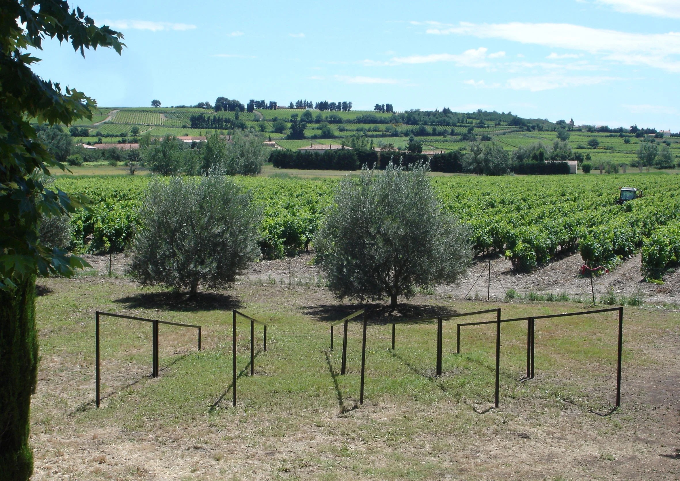 Sauvignon blanc, 2007  
Enamel paint on wood  
In 5-parts, each 150 x 534 x 4.4 cm  
La Barraliére, NOS – Non Objective Sud, Tulette, F  
(Org. by Team CCNOA, Brussels, B)