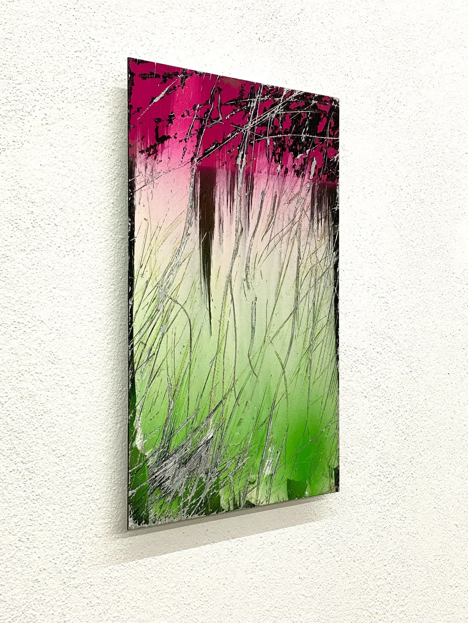 Chameleon, 2020  
Enamel paint on aluminium  
45 x 30 cm