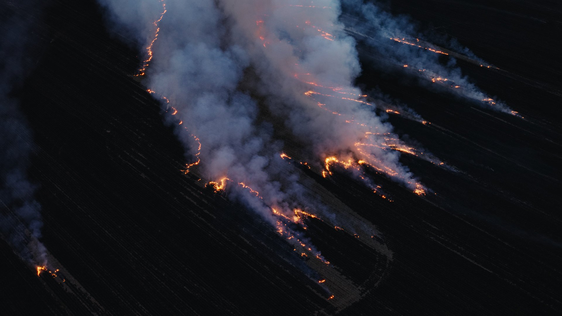 GOTM-burning-field-1080p.jpg