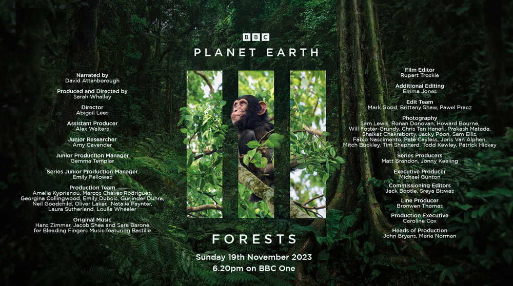 Filming Planet Earth Iii Joris Van Alphen