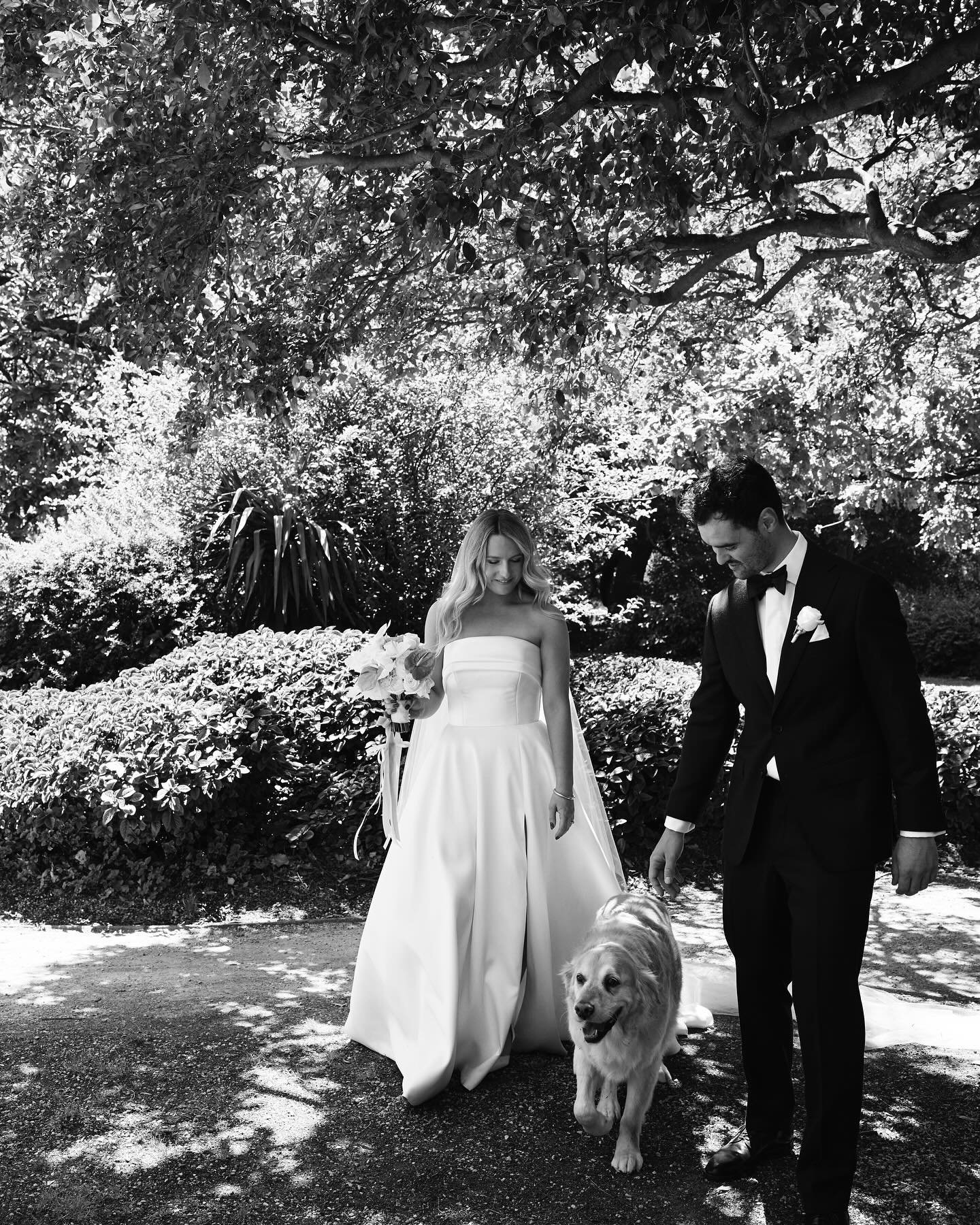 Take this as a sign to include your dog in your wedding portraits. 

This is me (as a bride), my husband (as a husband) and our gorgeous Ollie (as a perfect 10 year old gentleman).

We decided to do a lot of our photos before the ceremony, so asked a