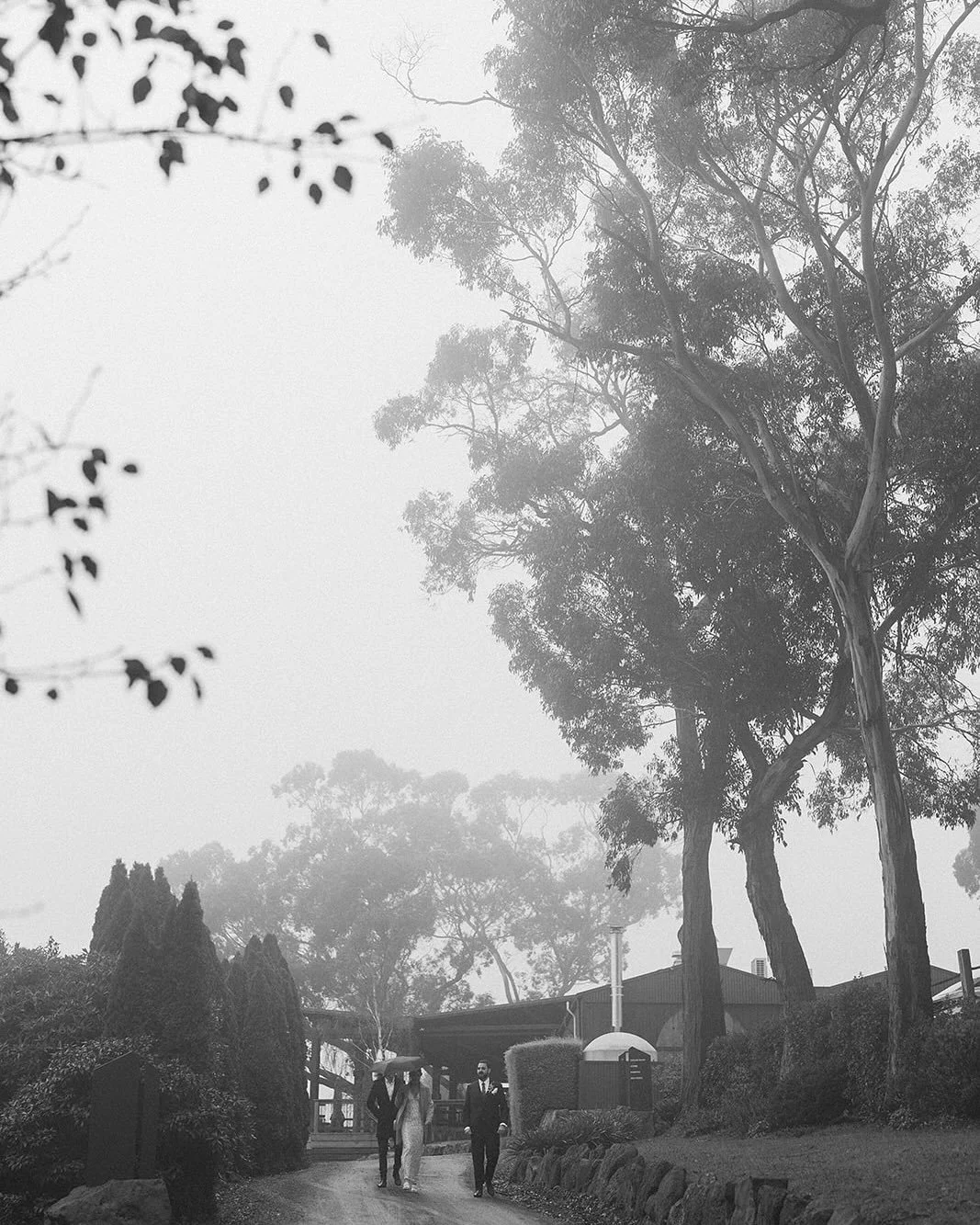 Whimsical, moody, ethereal, magical&hellip; Claire &amp; Jonathon&rsquo;s Autumn wedding at @mountmacedonwinery was straight out of a Folklore* daydream 🤍

📸 @georgiaverrells 

*Taylor Swift reference for those not in the know ✨
