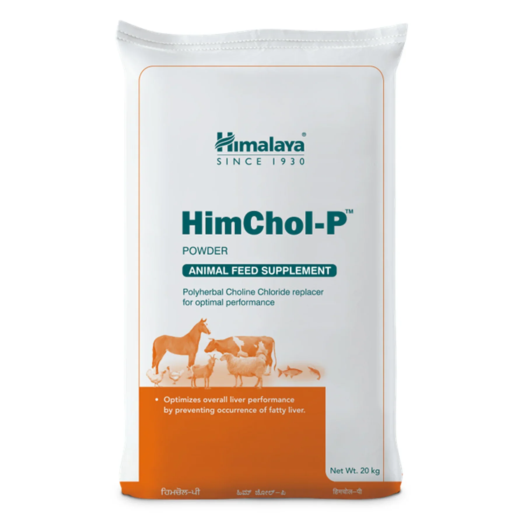 HimChol-P_1800x1800.webp