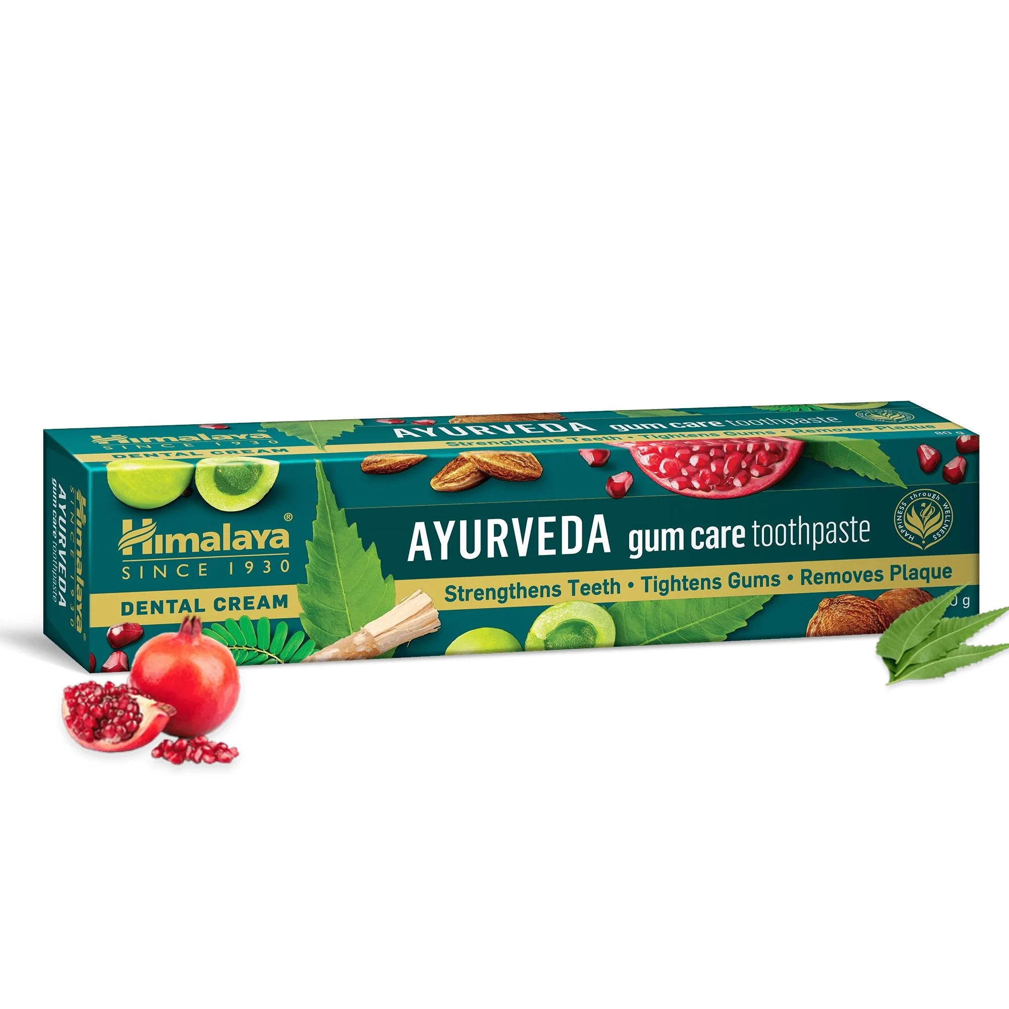 Ayurveda-Gum-Care-Toothpaste.jpg