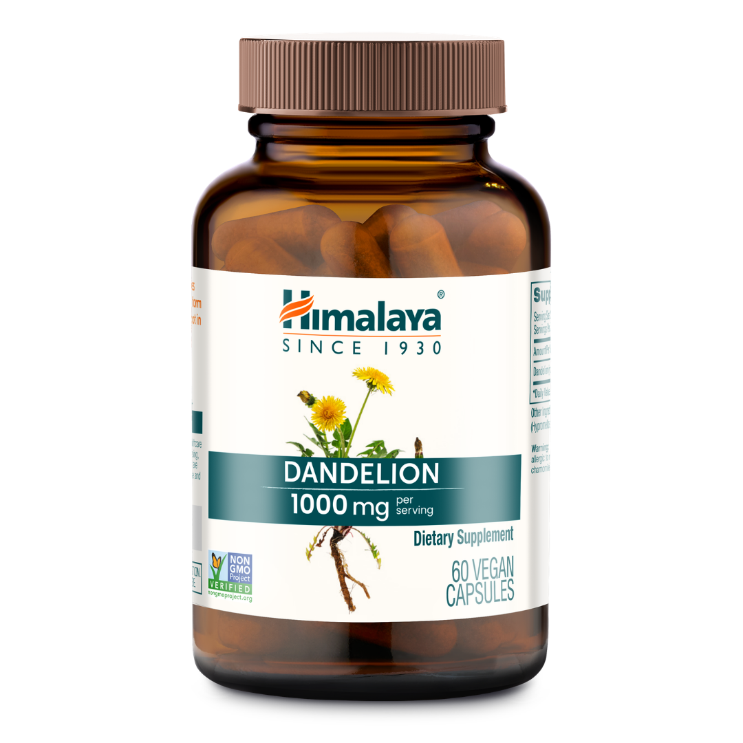 Dandelion_0a590132-651e-4a96-9700-1a57597deb7e.png
