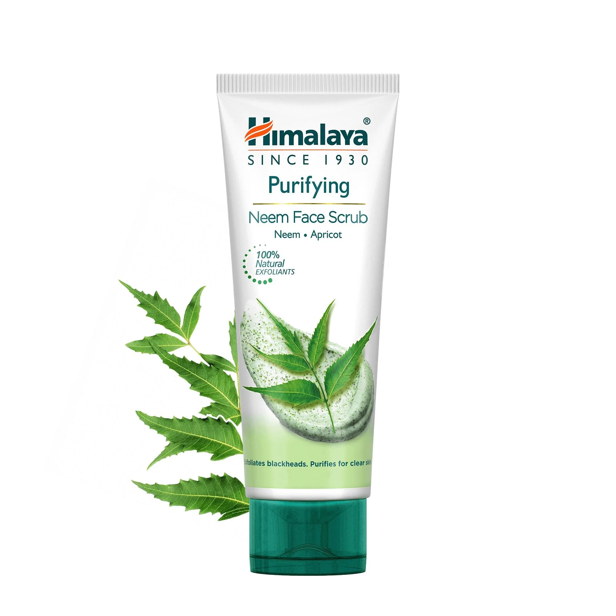 PURIFYING-NEEM-FACE-SCRUB-50G.jpg