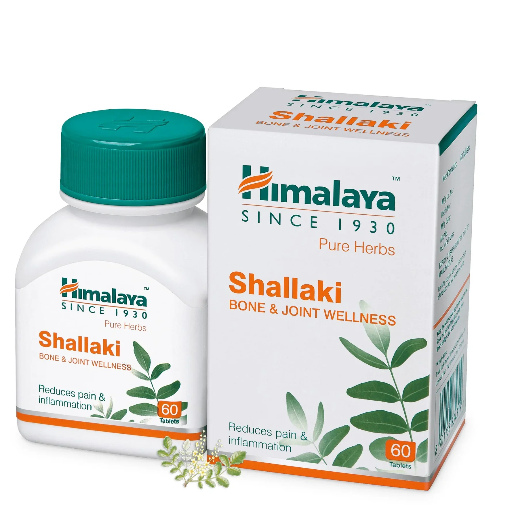 Shallaki_1800x1800.webp