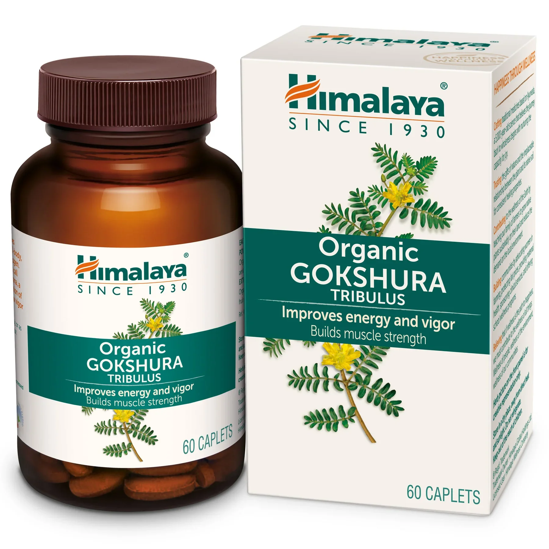 Gokshura-60caplets-4_1800x1800.webp