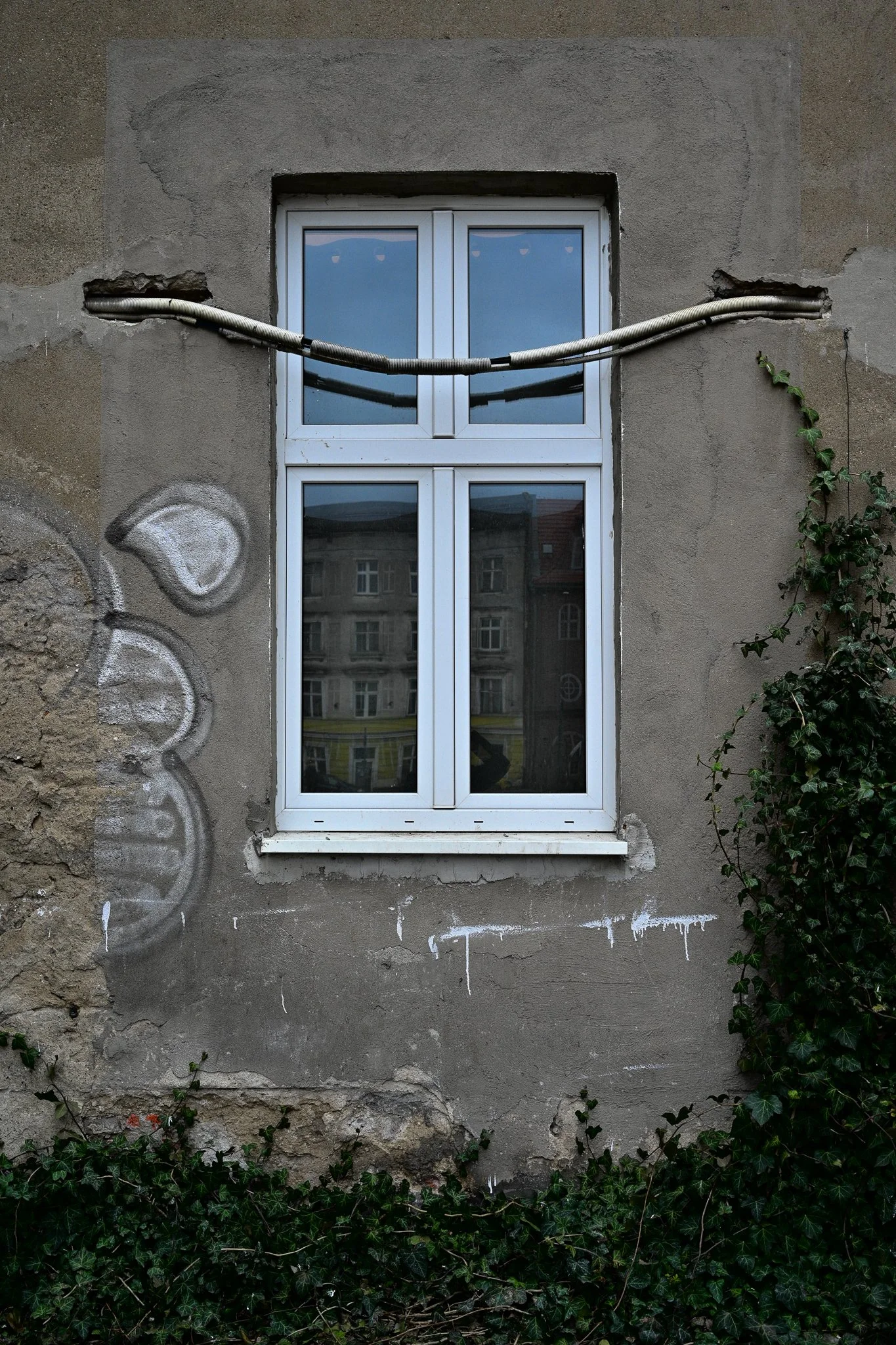 DSC_3574.jpg
