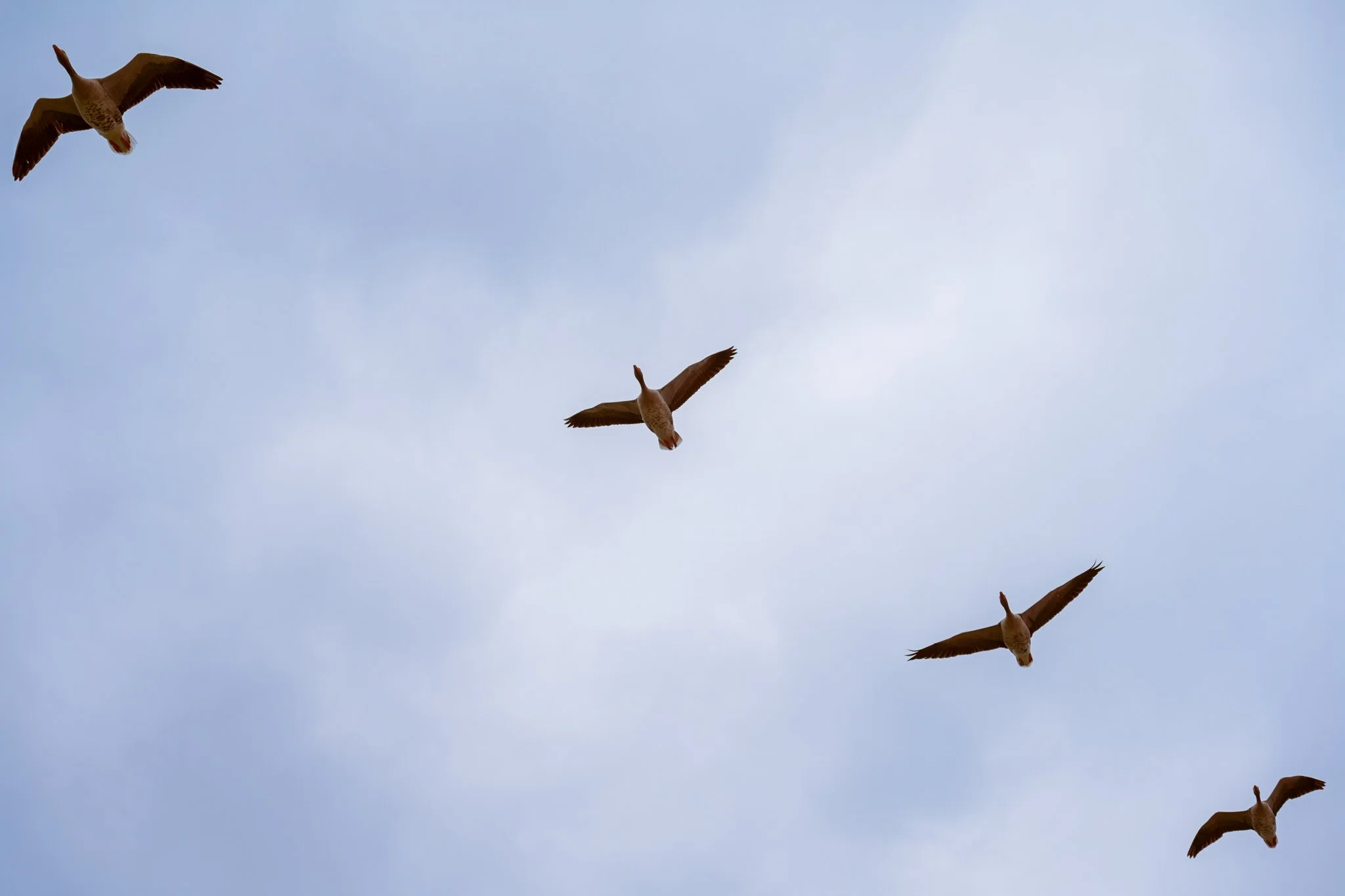 DSC_9358-Edit.jpg