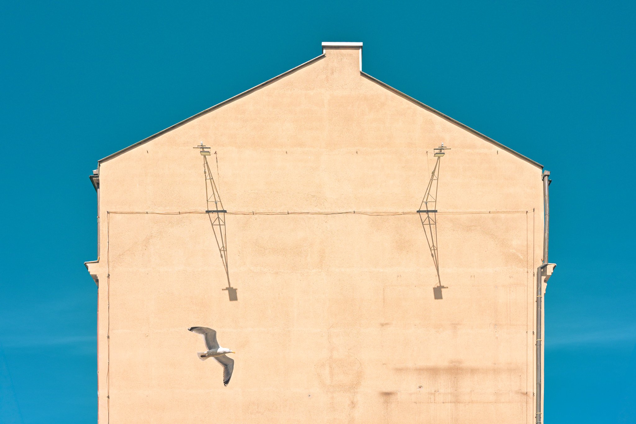 DSC_8815-Edit.jpg