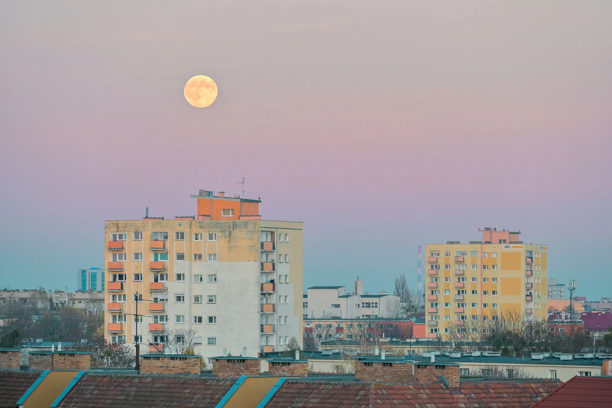 DSC_4612.jpg