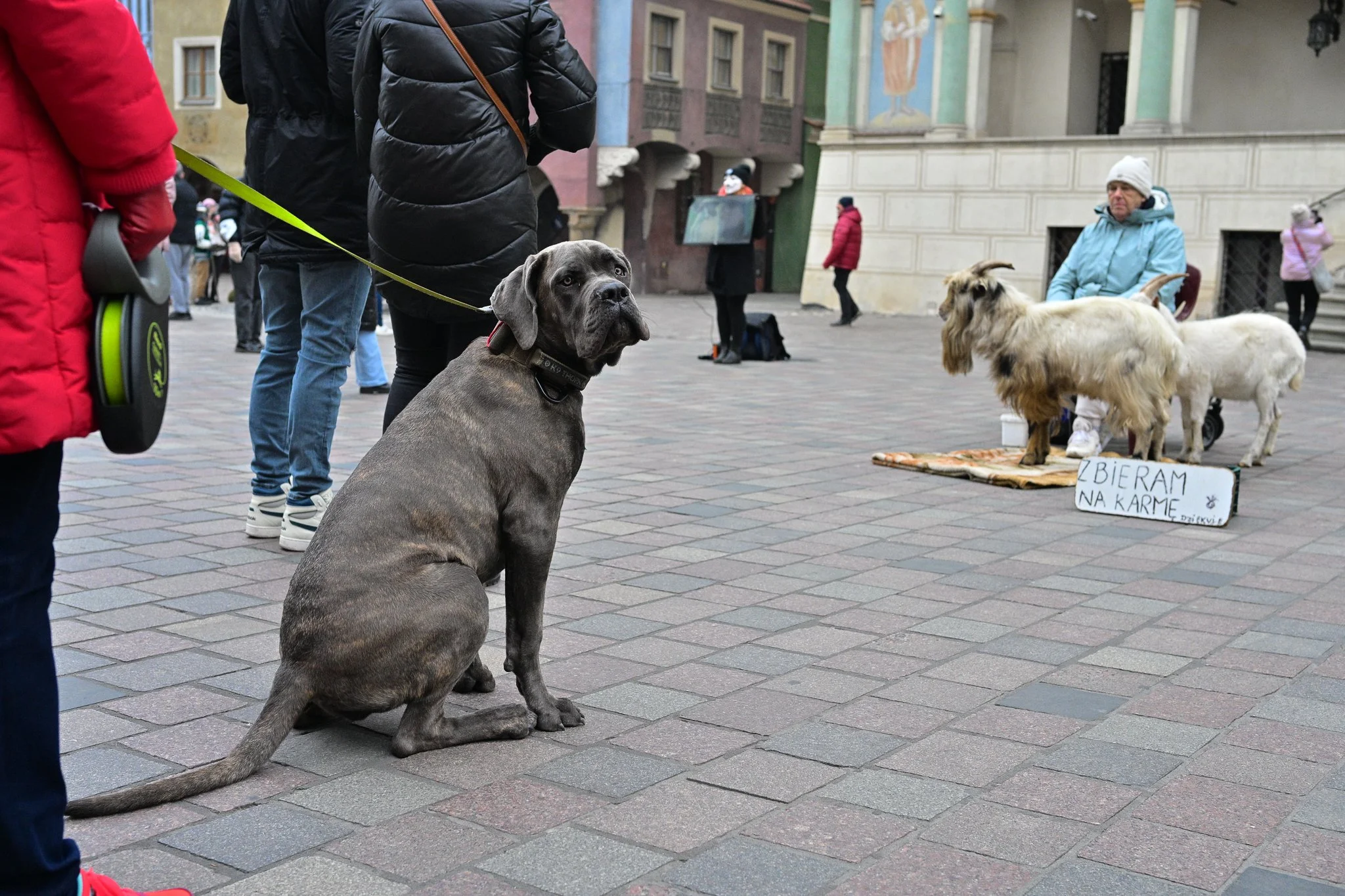 DSC_5672.jpg