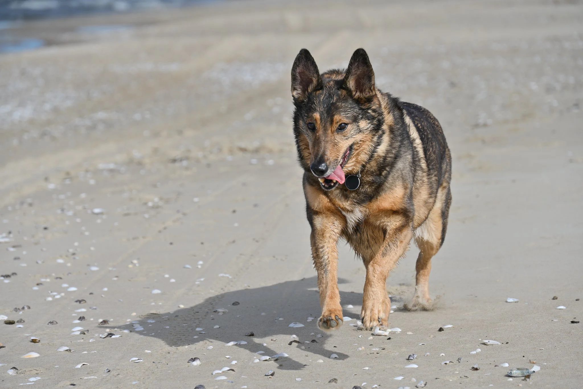 DSC_8940.jpg